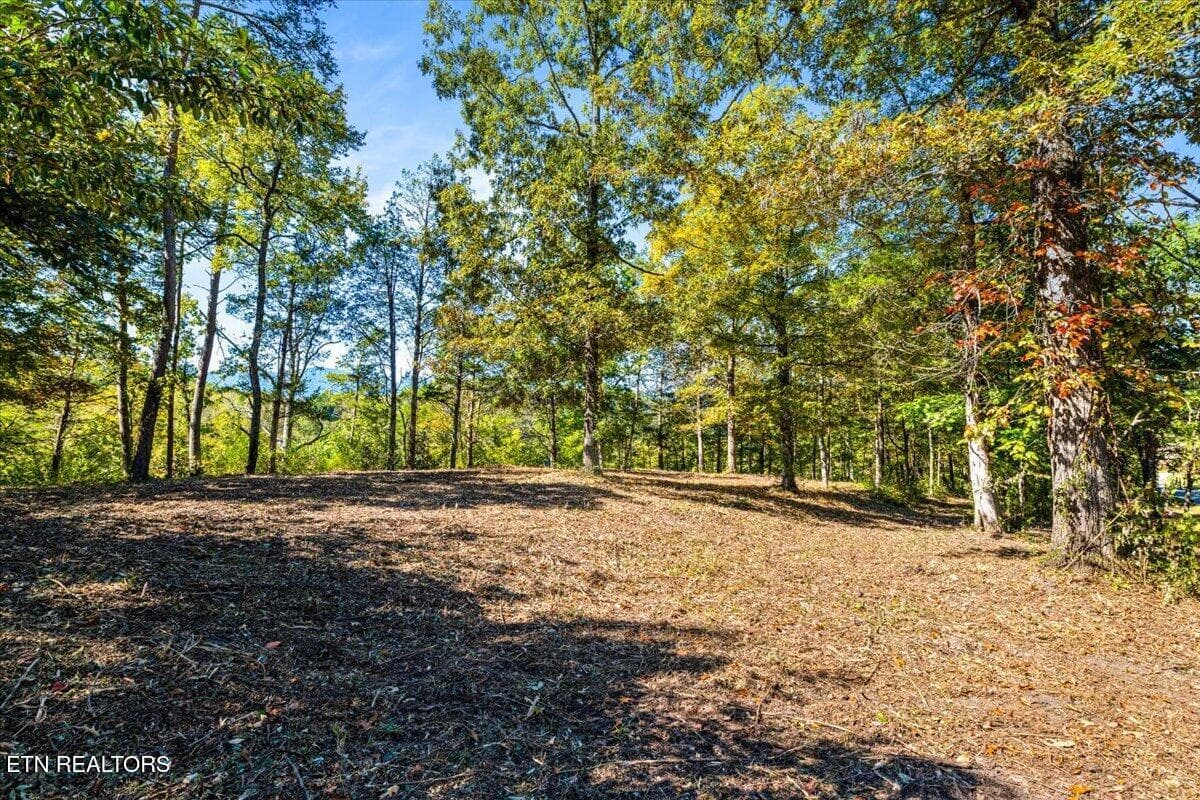 03-Bluff Trace - lot1,2,2,3 Bluff Trace, Jacksboro, TN 37757, Jacksboro