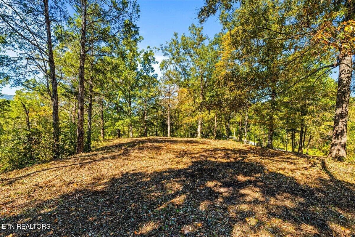 04-Bluff Trace - lot1,2,2,3 Bluff Trace, Jacksboro, TN 37757, Jacksboro