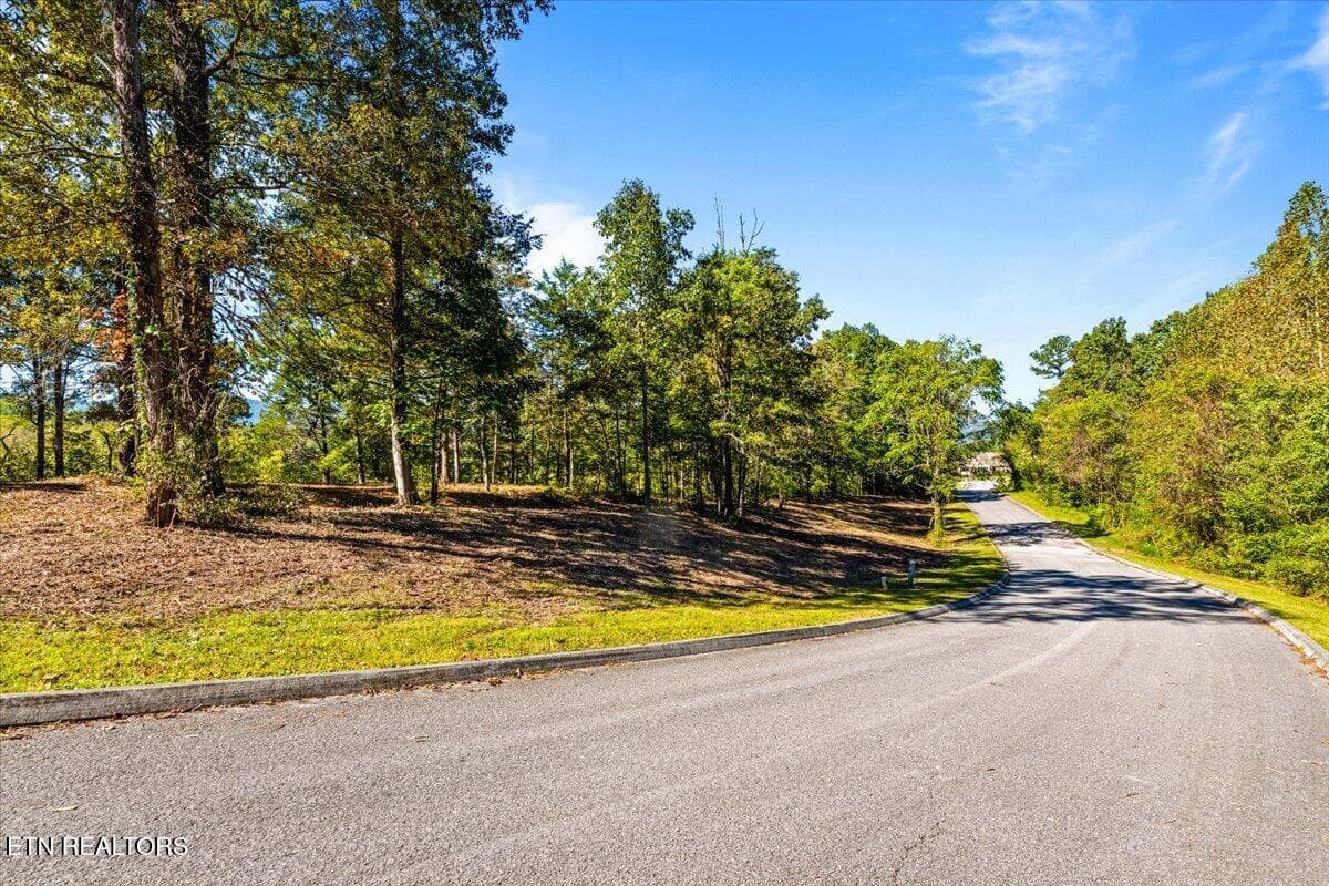 33-Bluff Trace - lot1,2,2,3 Bluff Trace, Jacksboro, TN 37757, Jacksboro