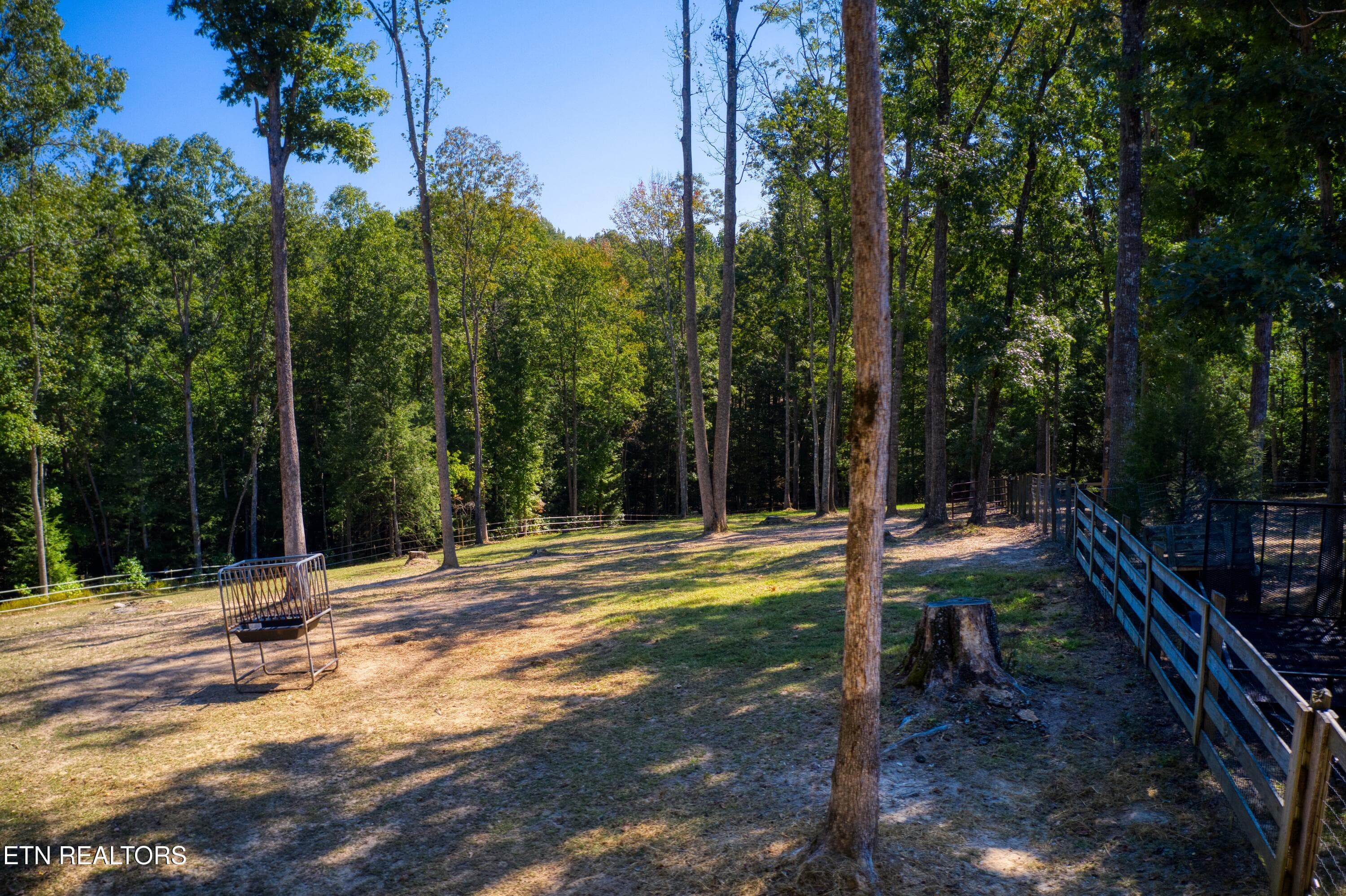 DJI_0937 - 232 Wild Cat Rd, Jamestown, TN 38556, Jamestown