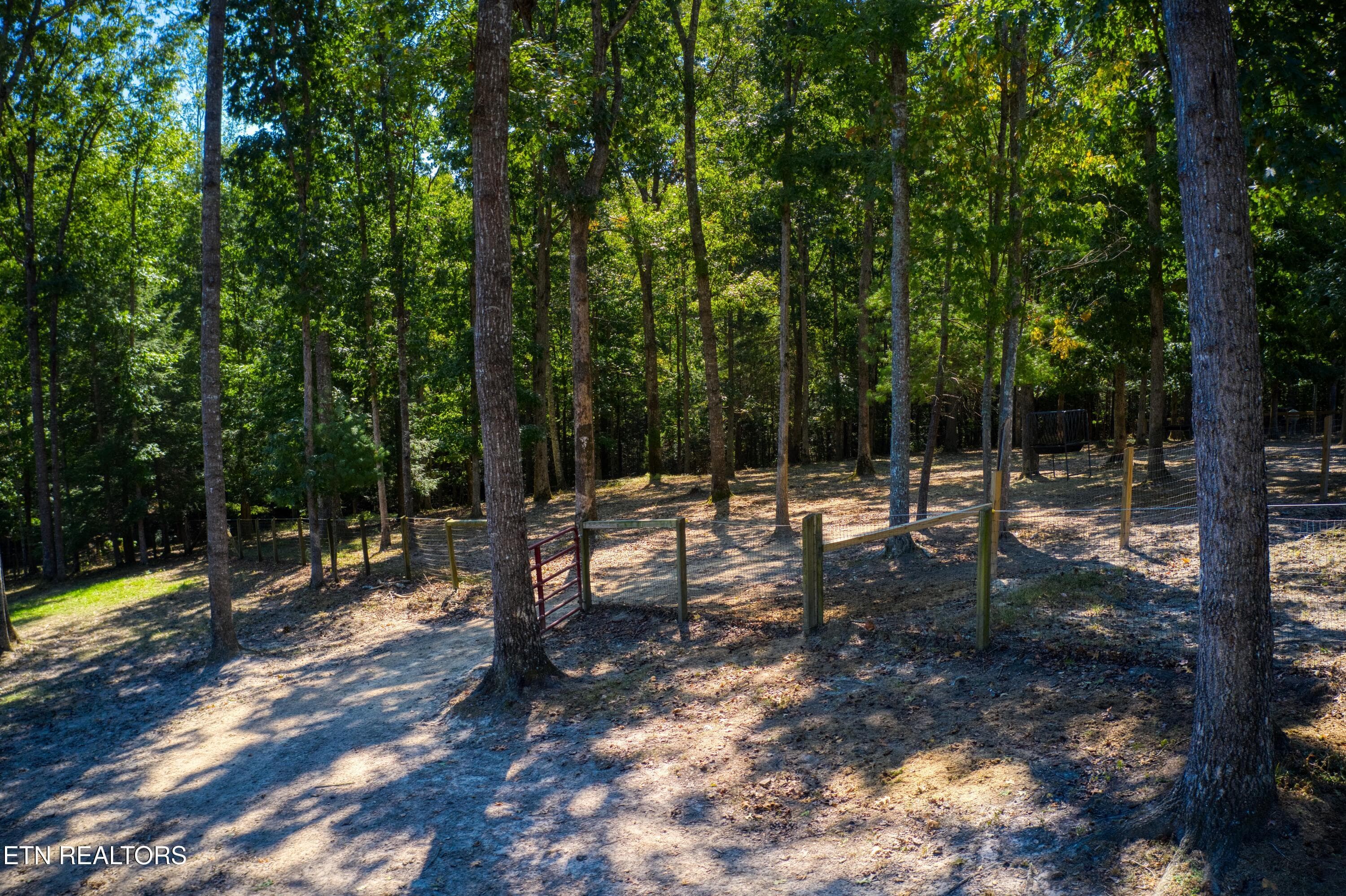 DJI_0942 - 232 Wild Cat Rd, Jamestown, TN 38556, Jamestown