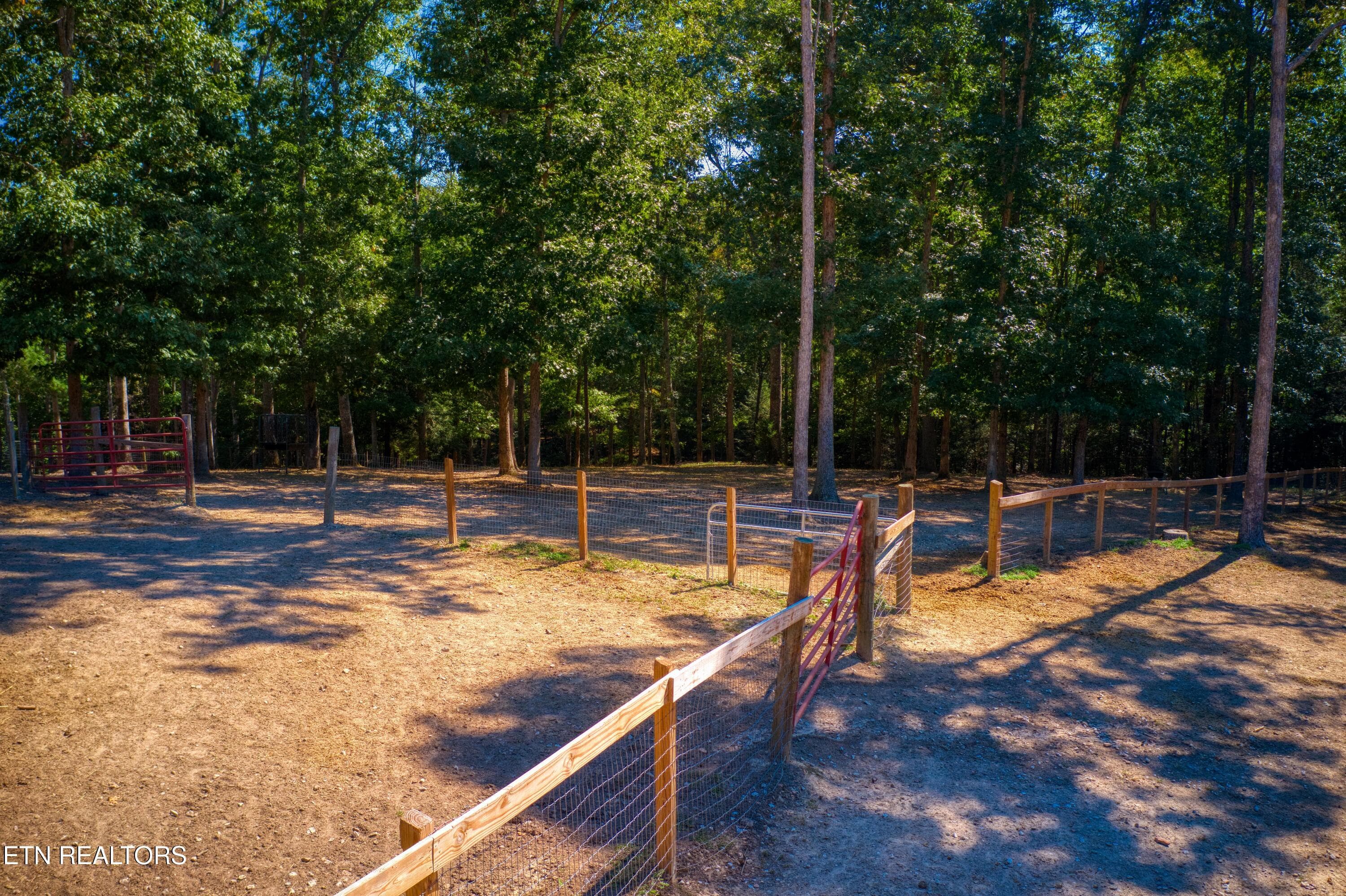 DJI_0989 - 232 Wild Cat Rd, Jamestown, TN 38556, Jamestown