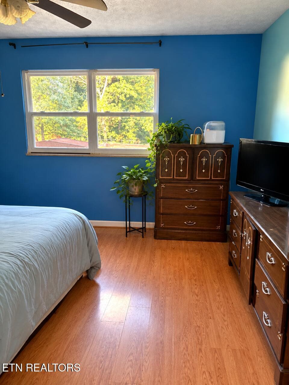 F0EB881C-6624-42A1-8EA0-886D0A27A151 - 6512 E Garwood Circle, Knoxville, TN 37918, Knoxville