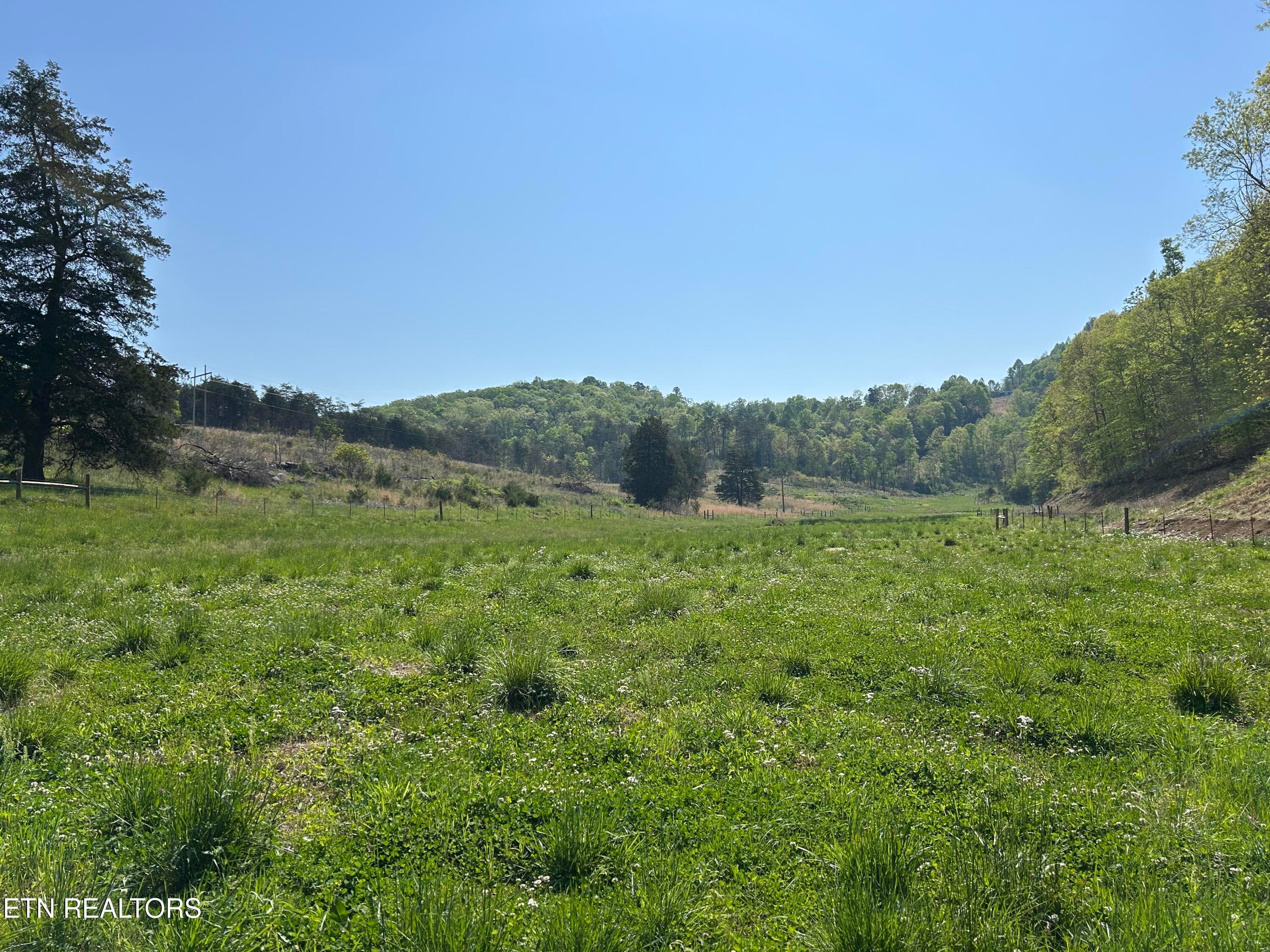 IMG_6200 - Trent Valley Rd Rd, Sneedville, TN 37869, Sneedville