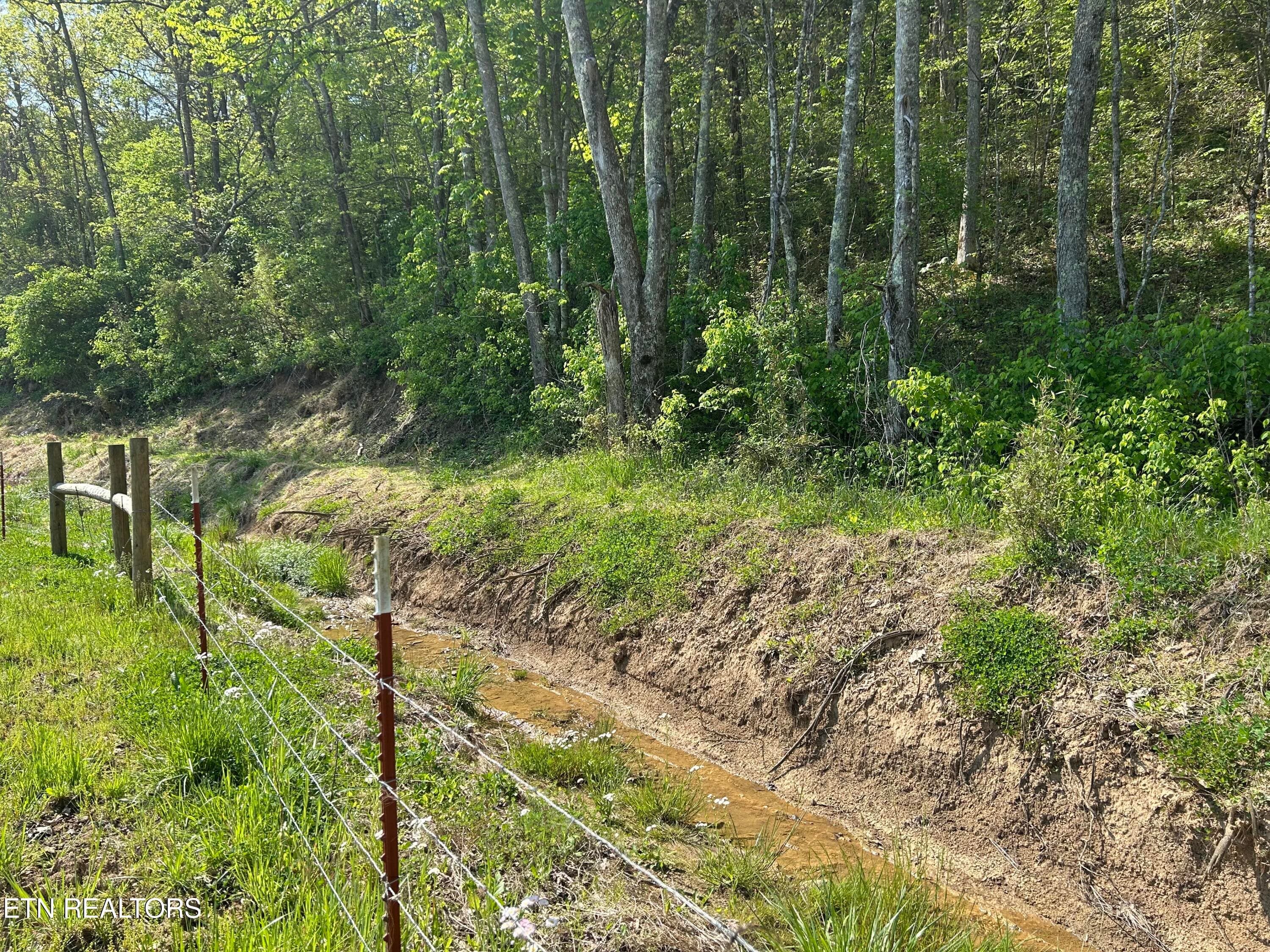 IMG_6198 - Trent Valley Rd Rd, Sneedville, TN 37869, Sneedville