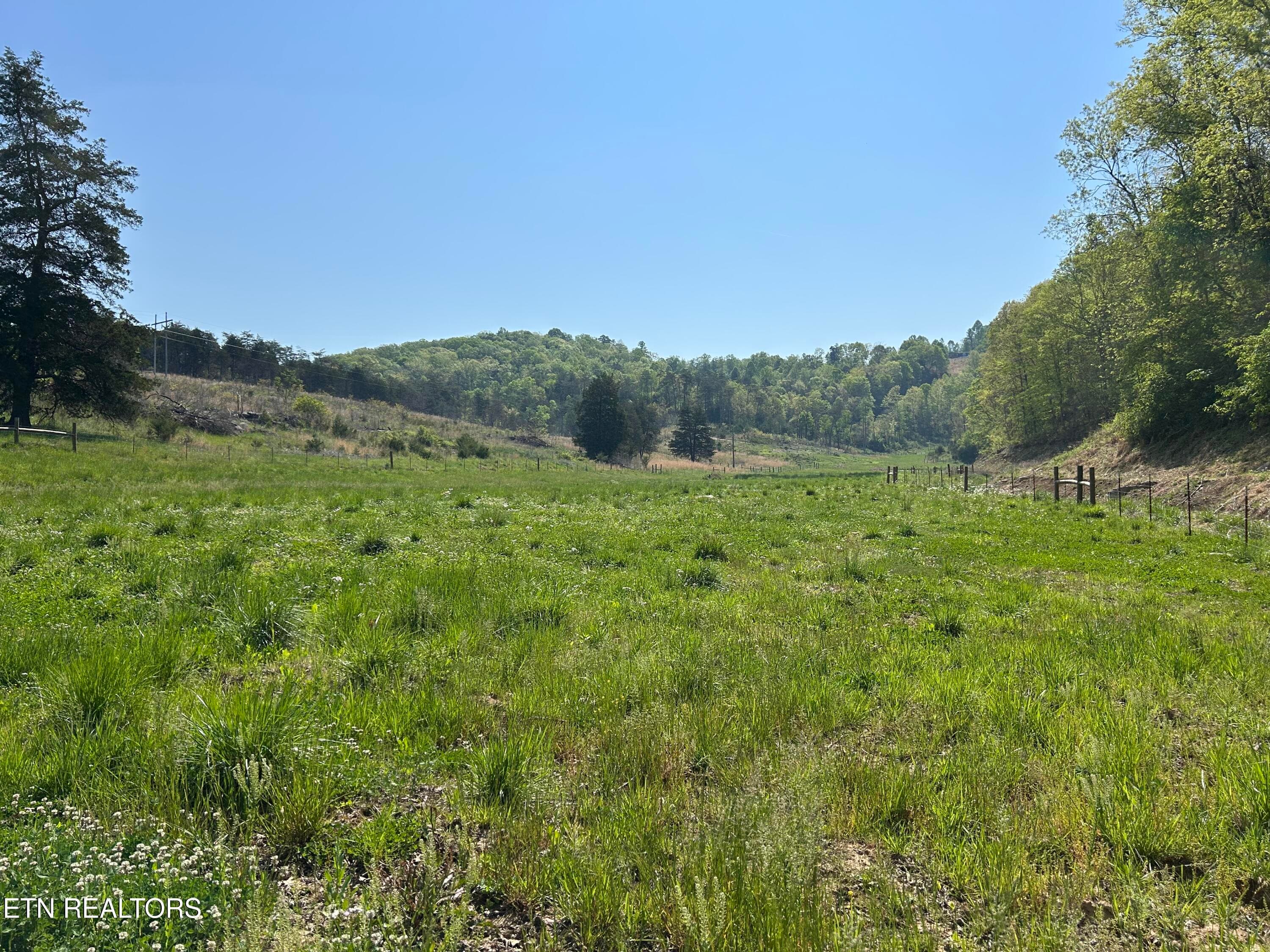 IMG_6197 - Trent Valley Rd Rd, Sneedville, TN 37869, Sneedville