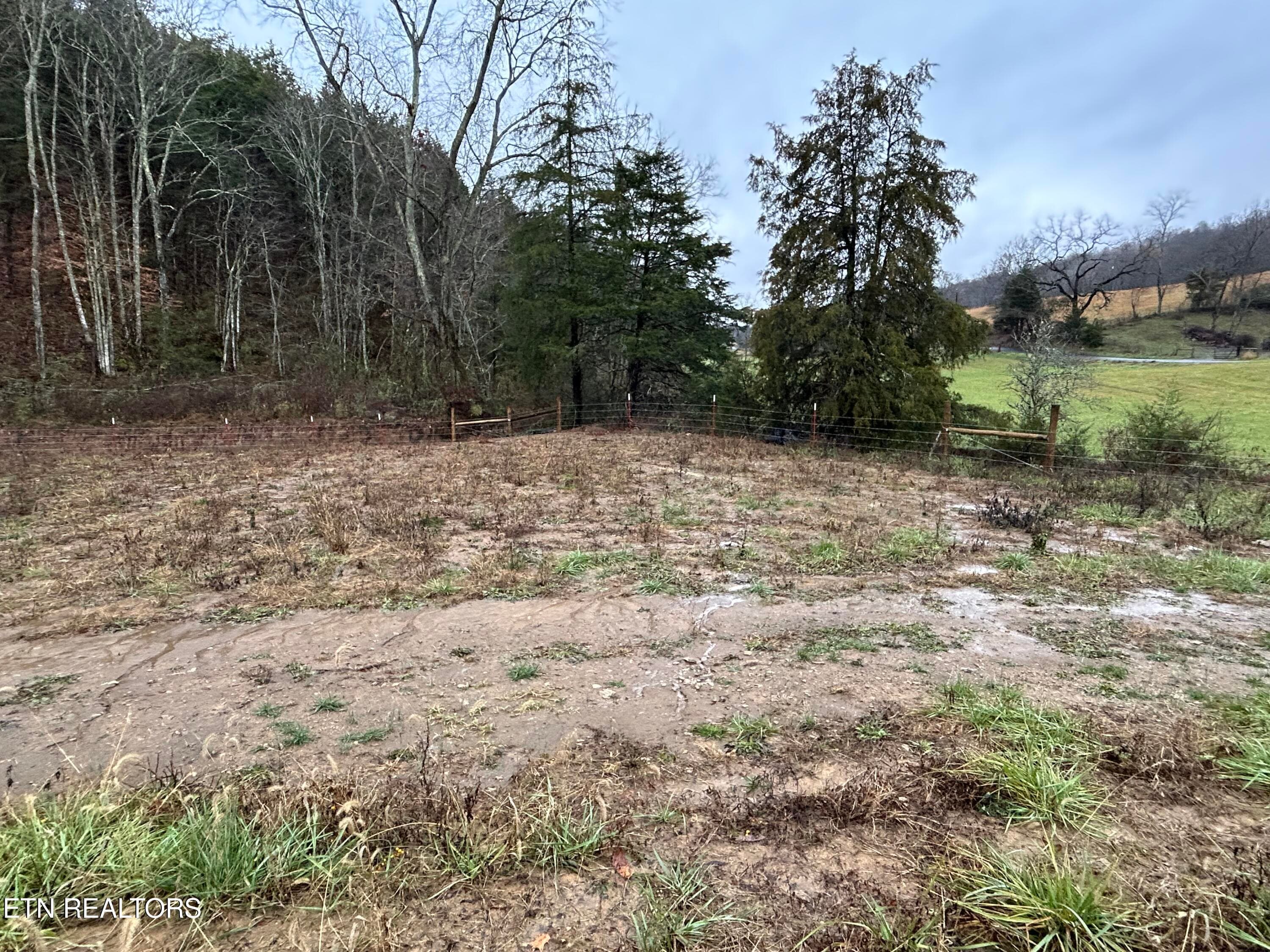 IMG_4195 - Trent Valley Rd Rd, Sneedville, TN 37869, Sneedville