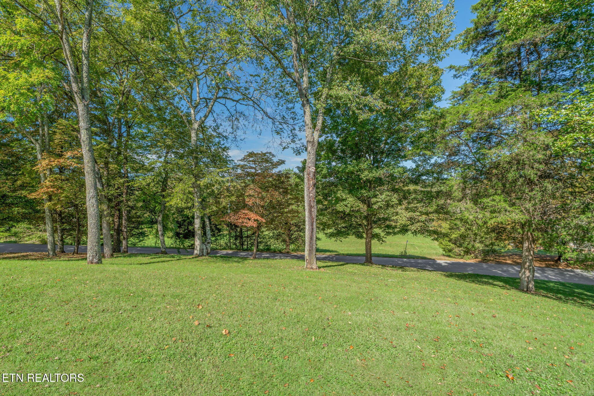 12-web-or-mls-1034 Poplar Springs--3 - 1034 Poplar Creek Rd, Oliver Springs, TN 37840