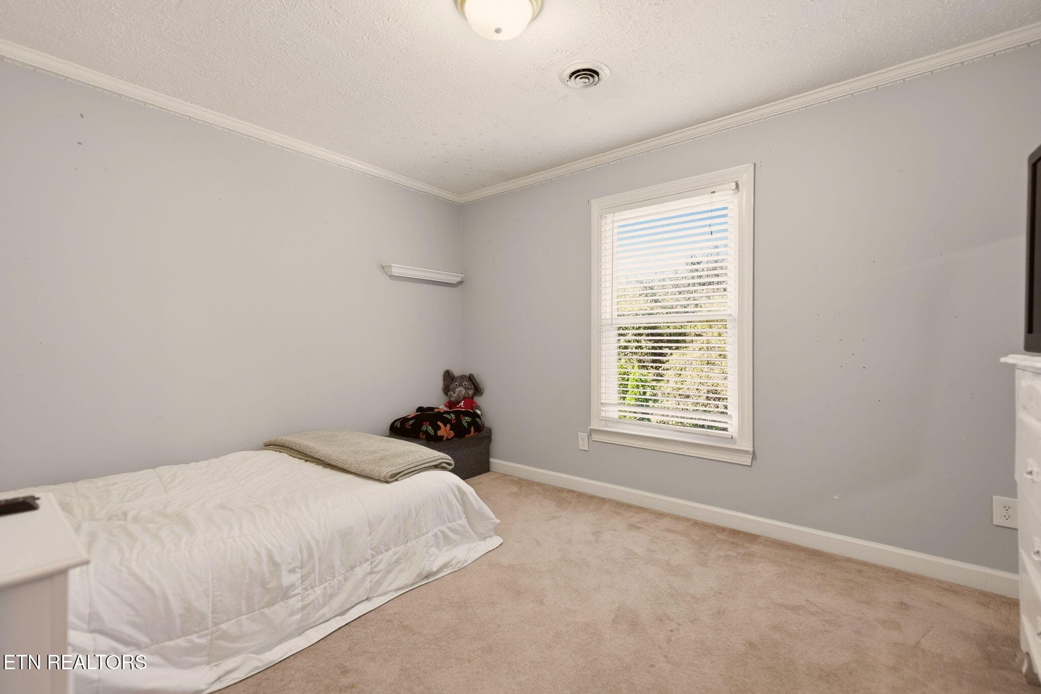 34-web-or-mls-WFort12535 (11) - 12535 Fort West Drive, Knoxville, TN 37934, Knoxville