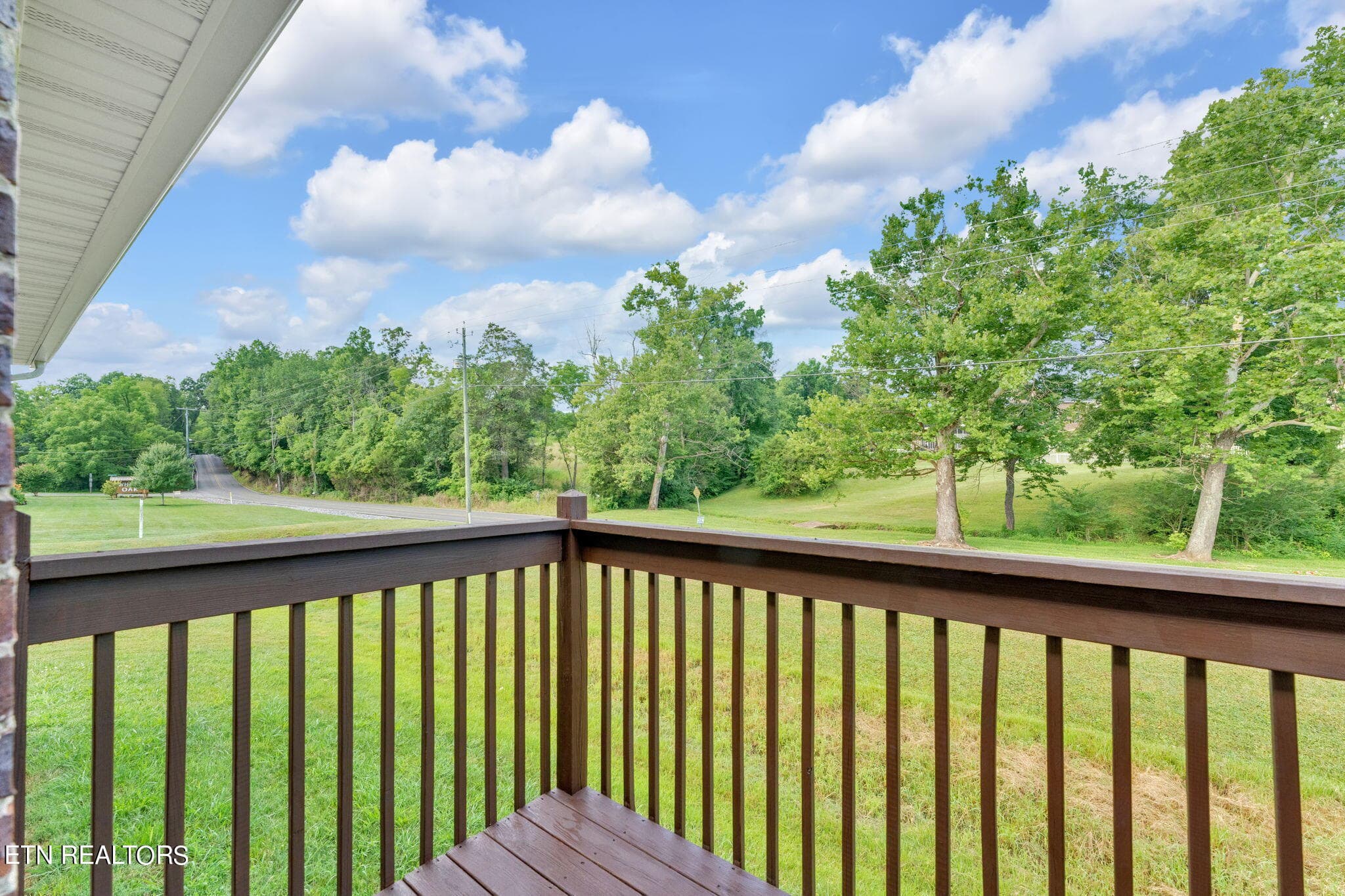 20-web-or-mls-DSC06004 - 334 Joshua Landing Court, Seymour, TN 37865, Seymour