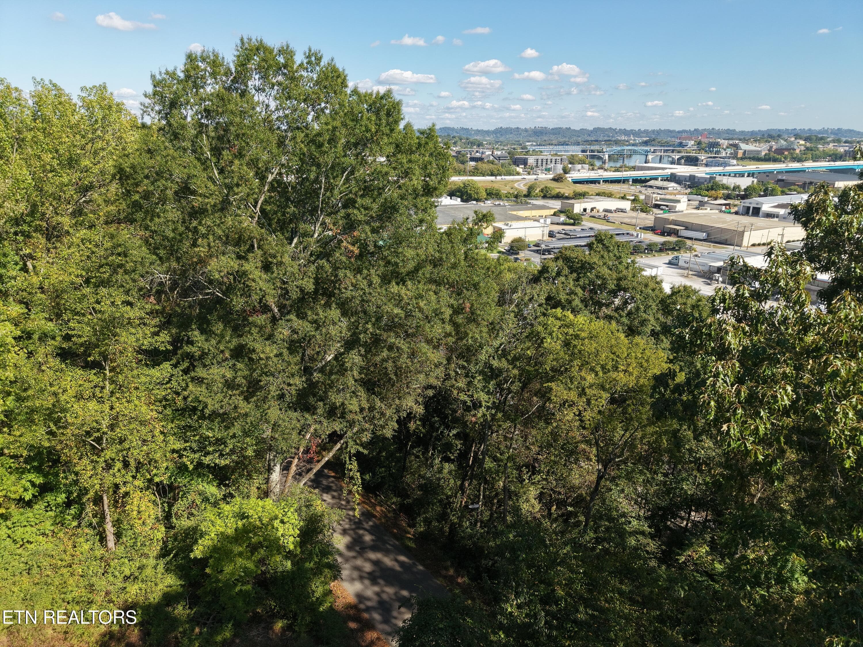 Possible view - 181 Whitehall Rd, Chattanooga, TN 37405, Chattanooga