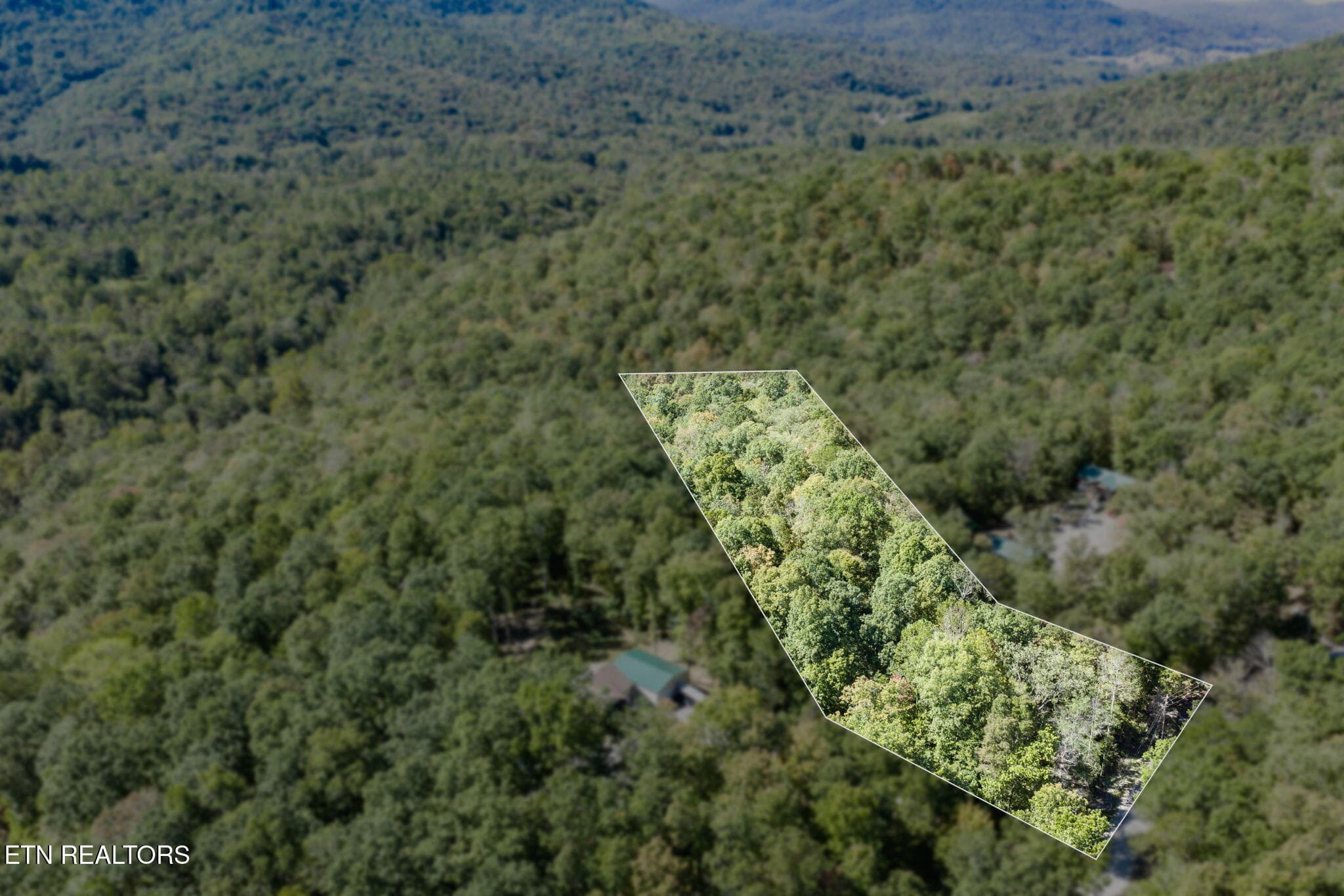 Lot 8 Buffalo Cove Lane, Jamestown, TN 38556