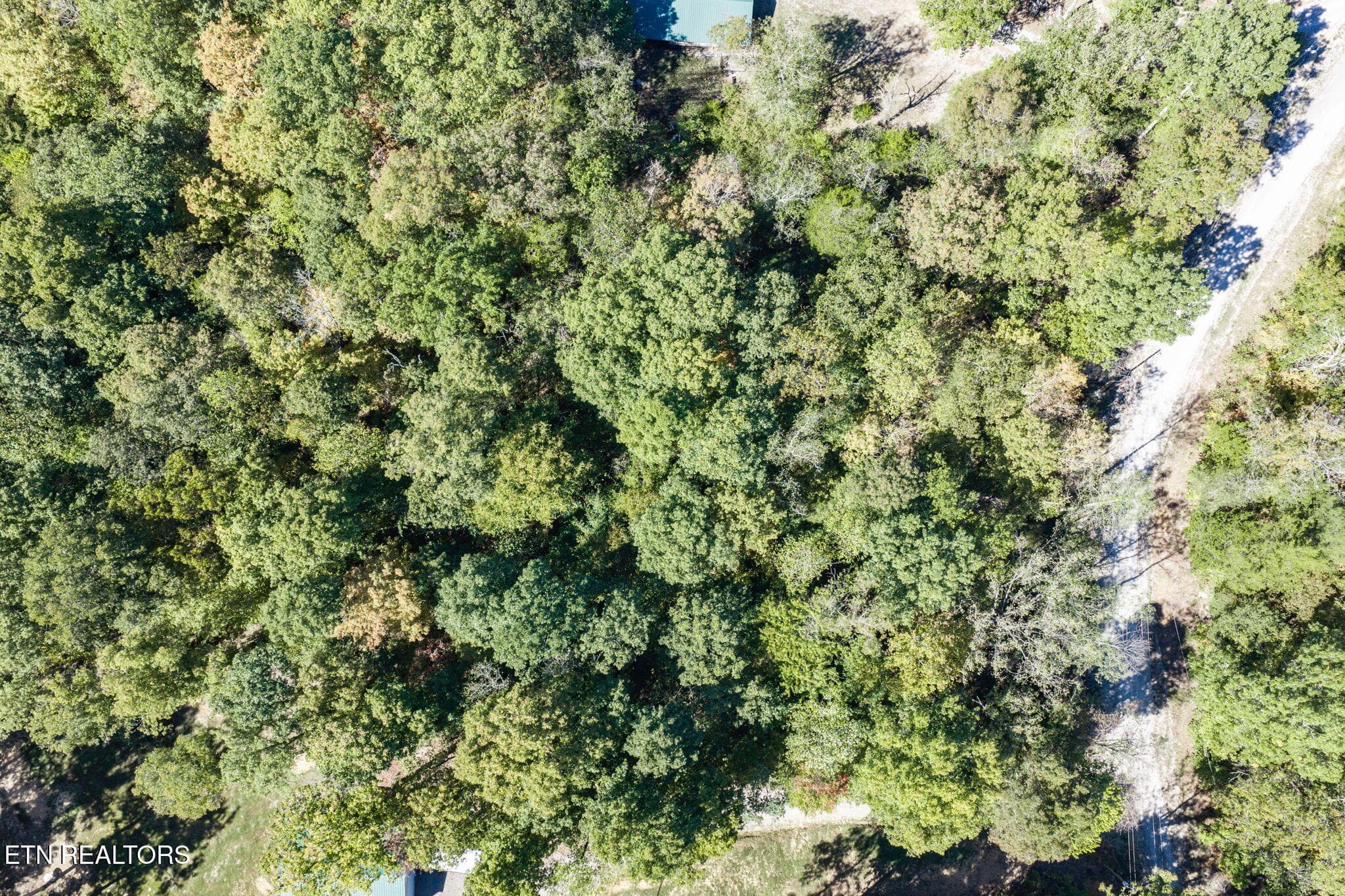 3-web-or-mls-60 Buffalo Cove Ln_013_TNPC - Lot 8 Buffalo Cove Lane, Jamestown, TN 38556, Jamestown