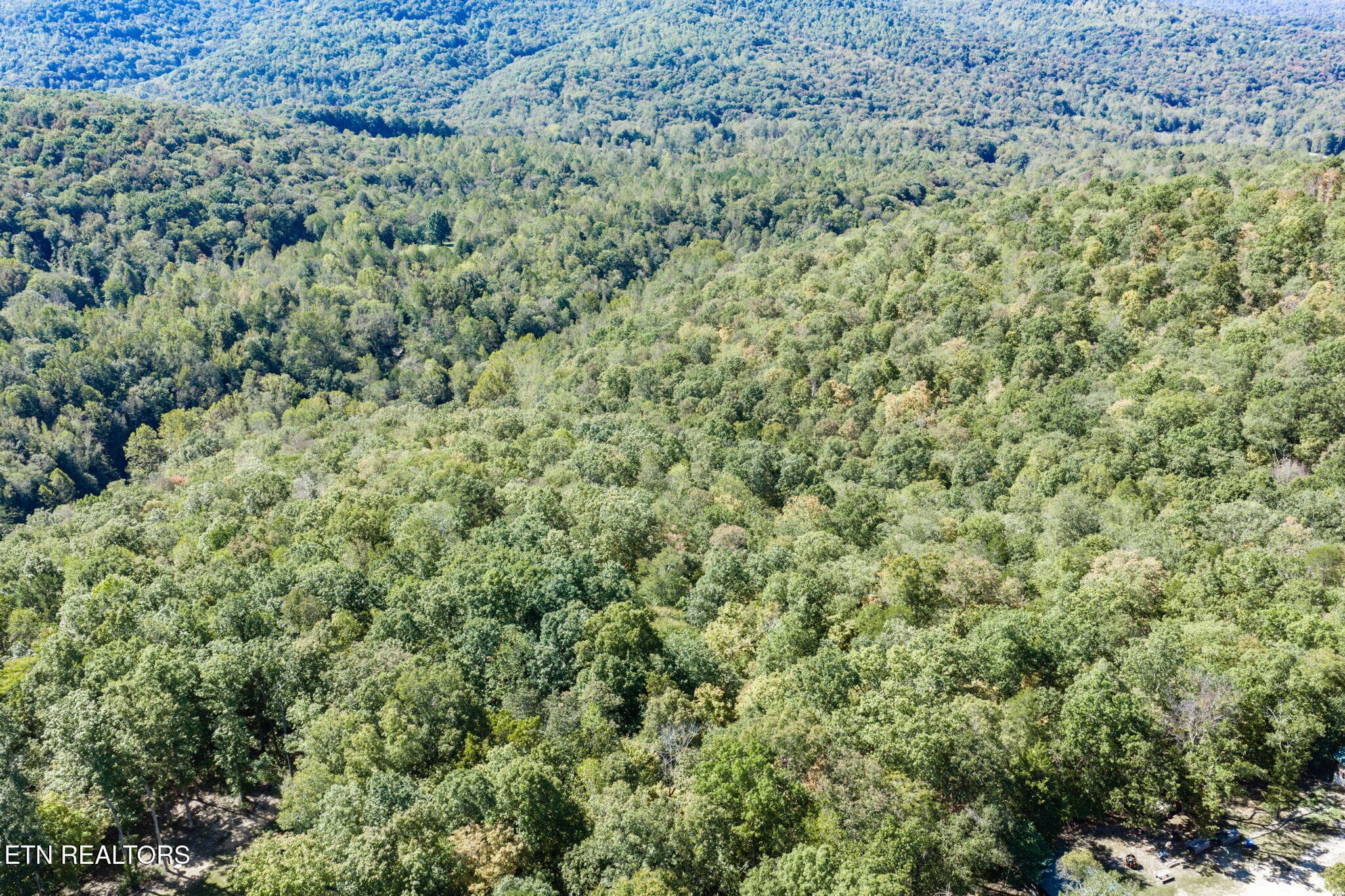 4-web-or-mls-60 Buffalo Cove Ln_018_TNPC - Lot 8 Buffalo Cove Lane, Jamestown, TN 38556, Jamestown