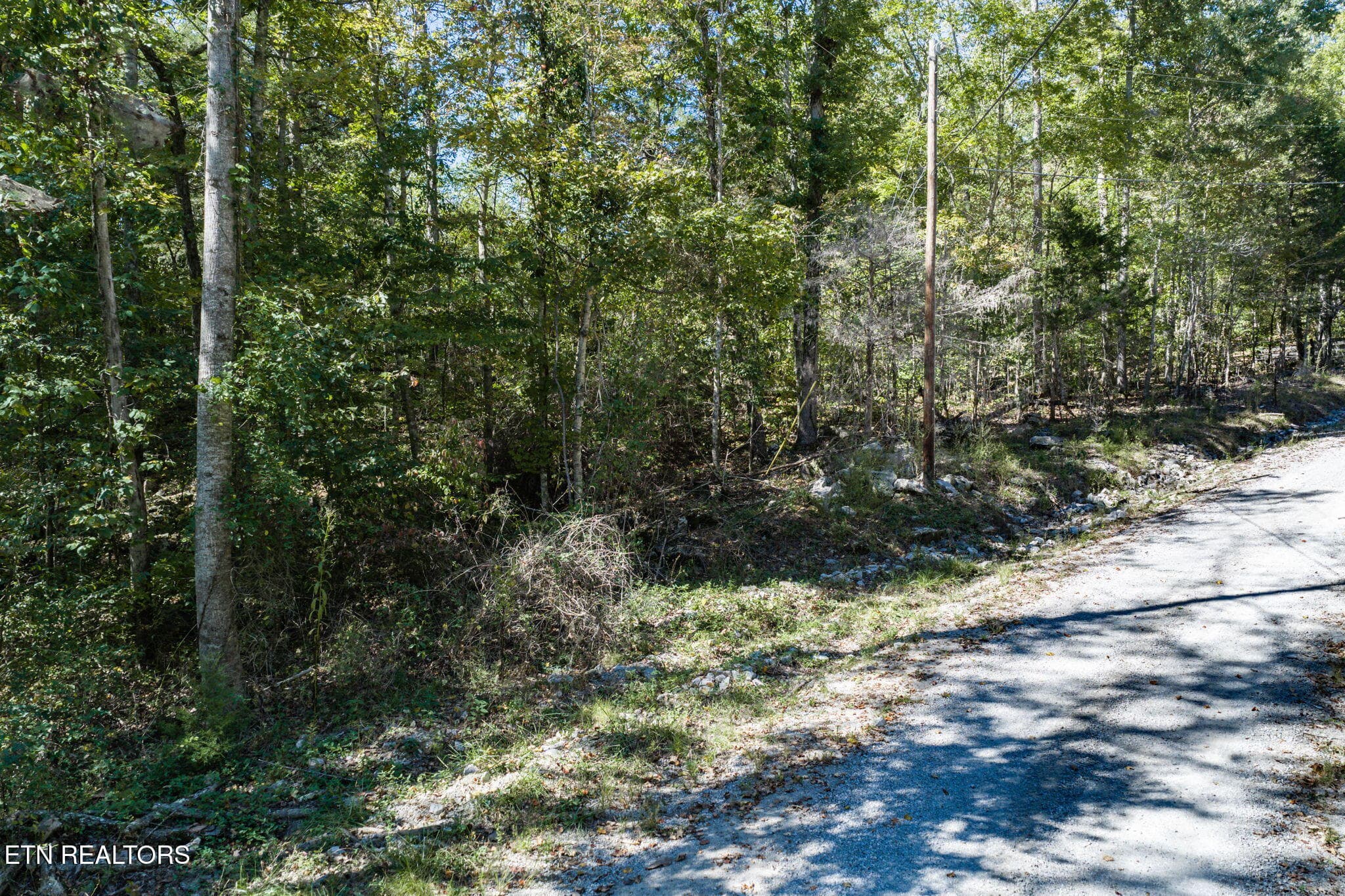 11-web-or-mls-60 Buffalo Cove Ln_046_TNP - Lot 8 Buffalo Cove Lane, Jamestown, TN 38556, Jamestown