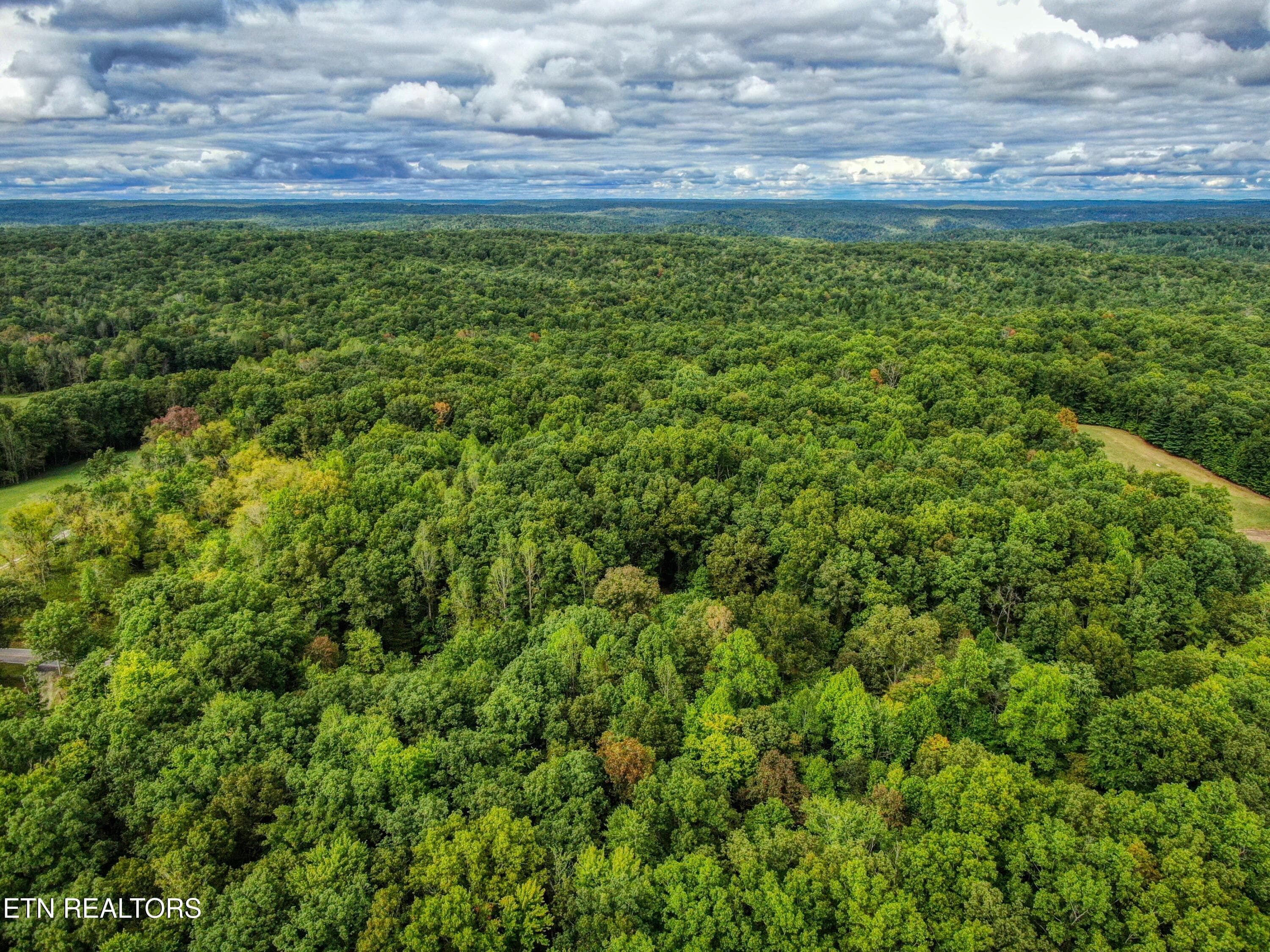 13 - 6549 Old Mount Helen Rd, Allardt, TN 38504, Allardt