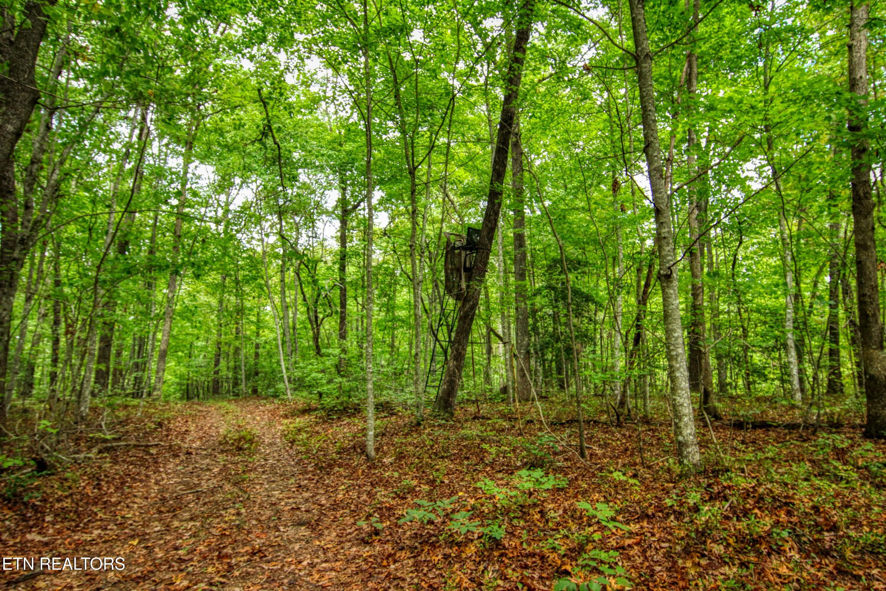 3 - 6549 Old Mount Helen Rd, Allardt, TN 38504, Allardt
