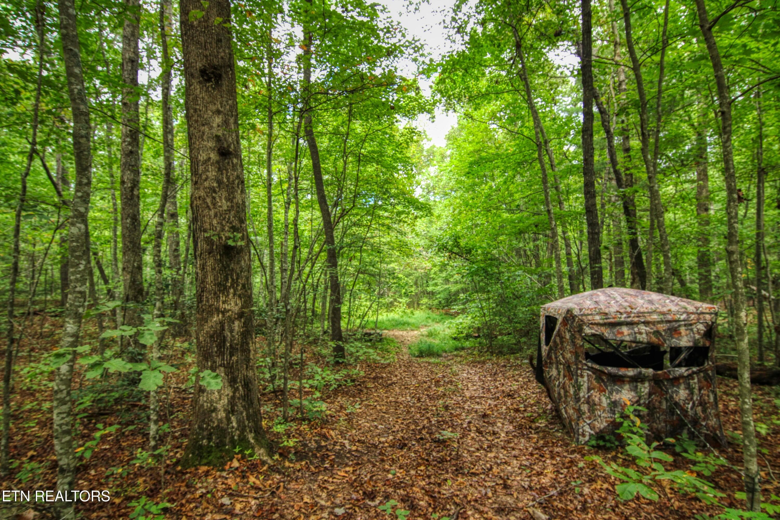 4 - 6549 Old Mount Helen Rd, Allardt, TN 38504, Allardt
