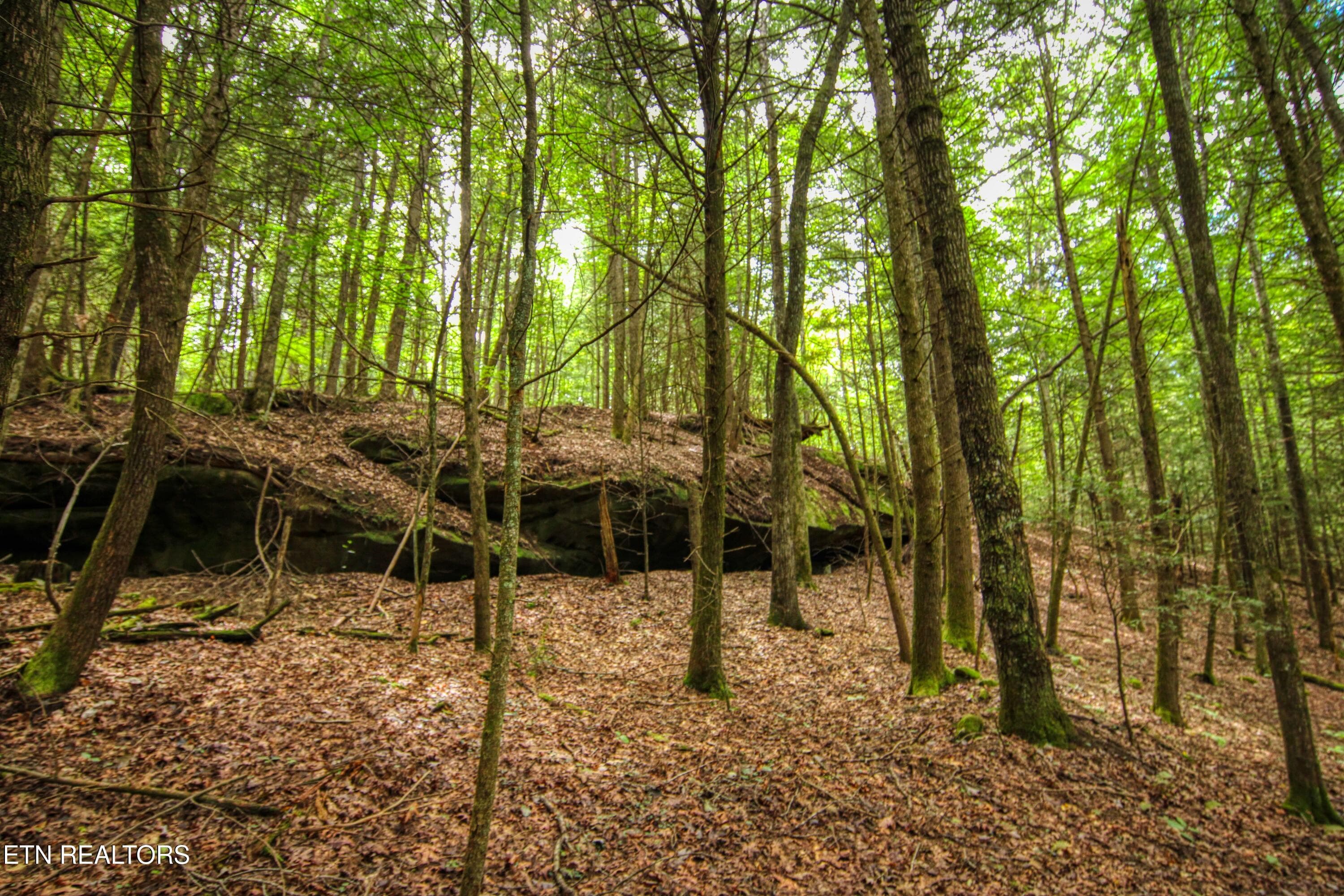 5 - 6549 Old Mount Helen Rd, Allardt, TN 38504, Allardt