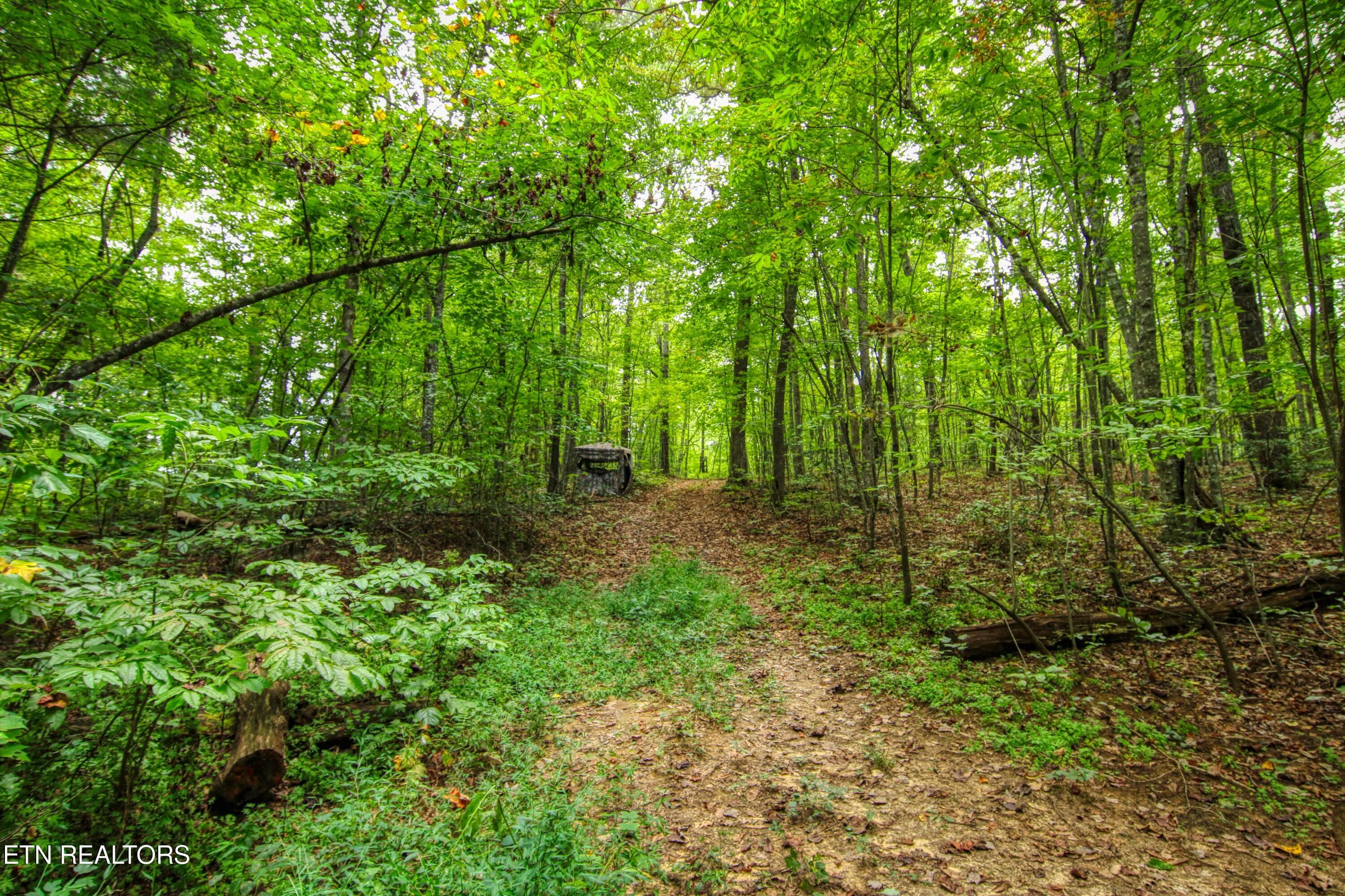 7 - 6549 Old Mount Helen Rd, Allardt, TN 38504, Allardt