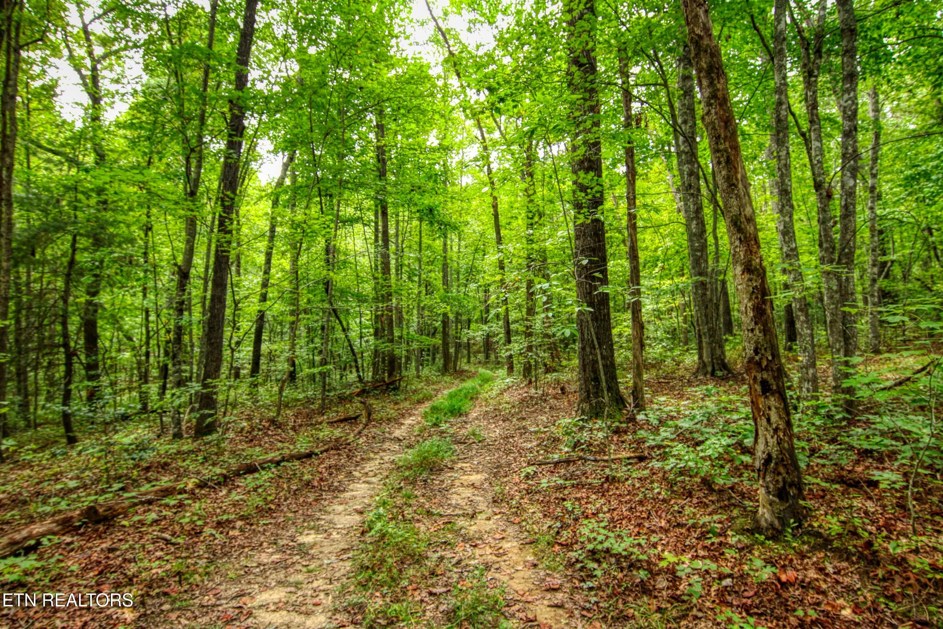 8 - 6549 Old Mount Helen Rd, Allardt, TN 38504, Allardt