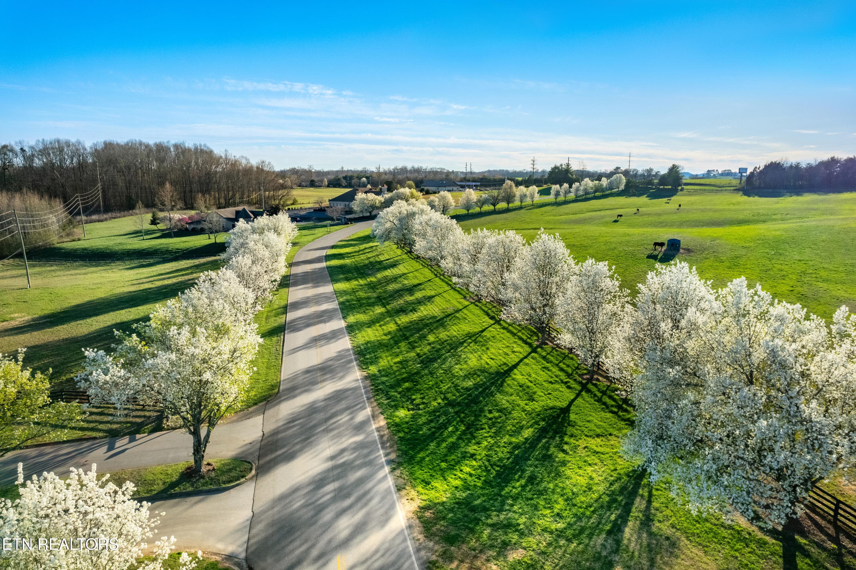 DJI_0817-HDR copy - 555 Rarity Bay Pkwy 101, Vonore, TN 37885, Vonore