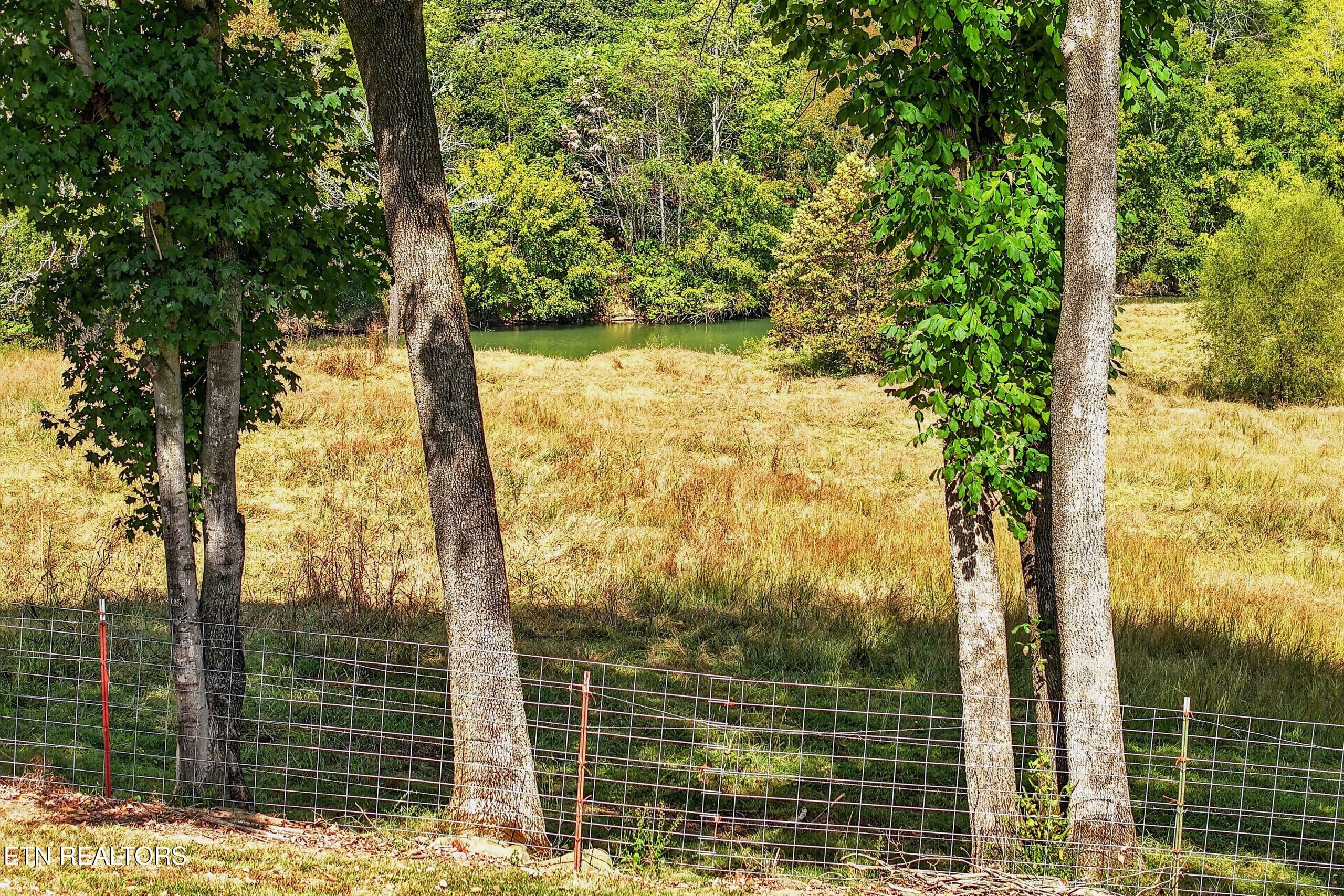 003_DJI_20260930113010_0033_D - 787/777 Blue Springs Road Rd, Sparta, TN 38583, Sparta