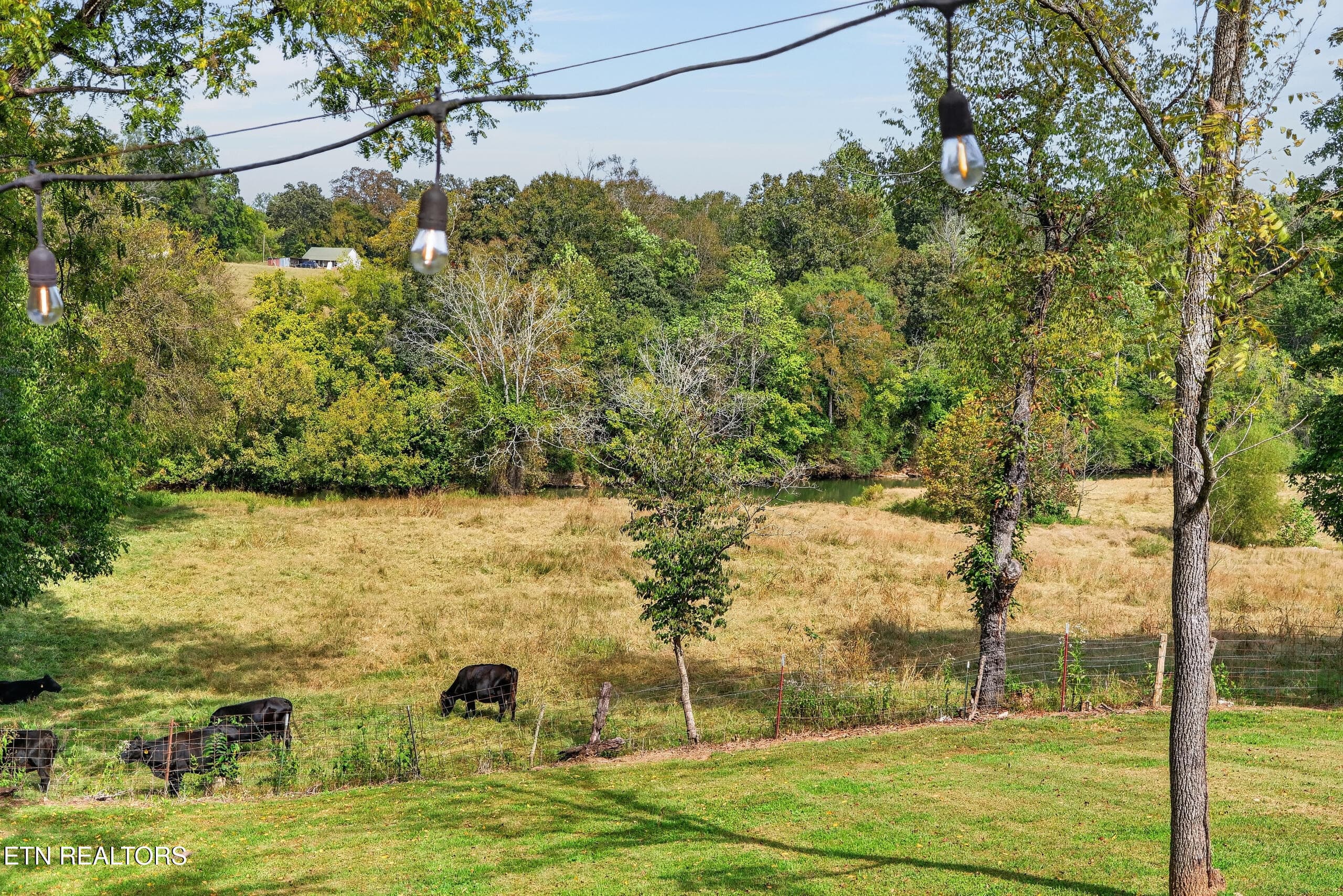 025_IMG_9740 - 787/777 Blue Springs Road Rd, Sparta, TN 38583, Sparta