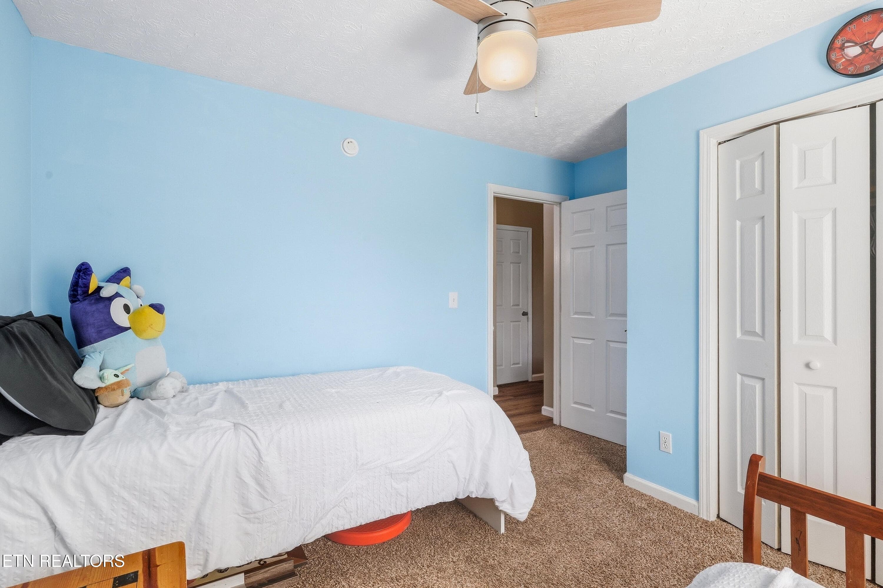 038 - 509 Delores Drive, Dandridge, TN 37725, Dandridge