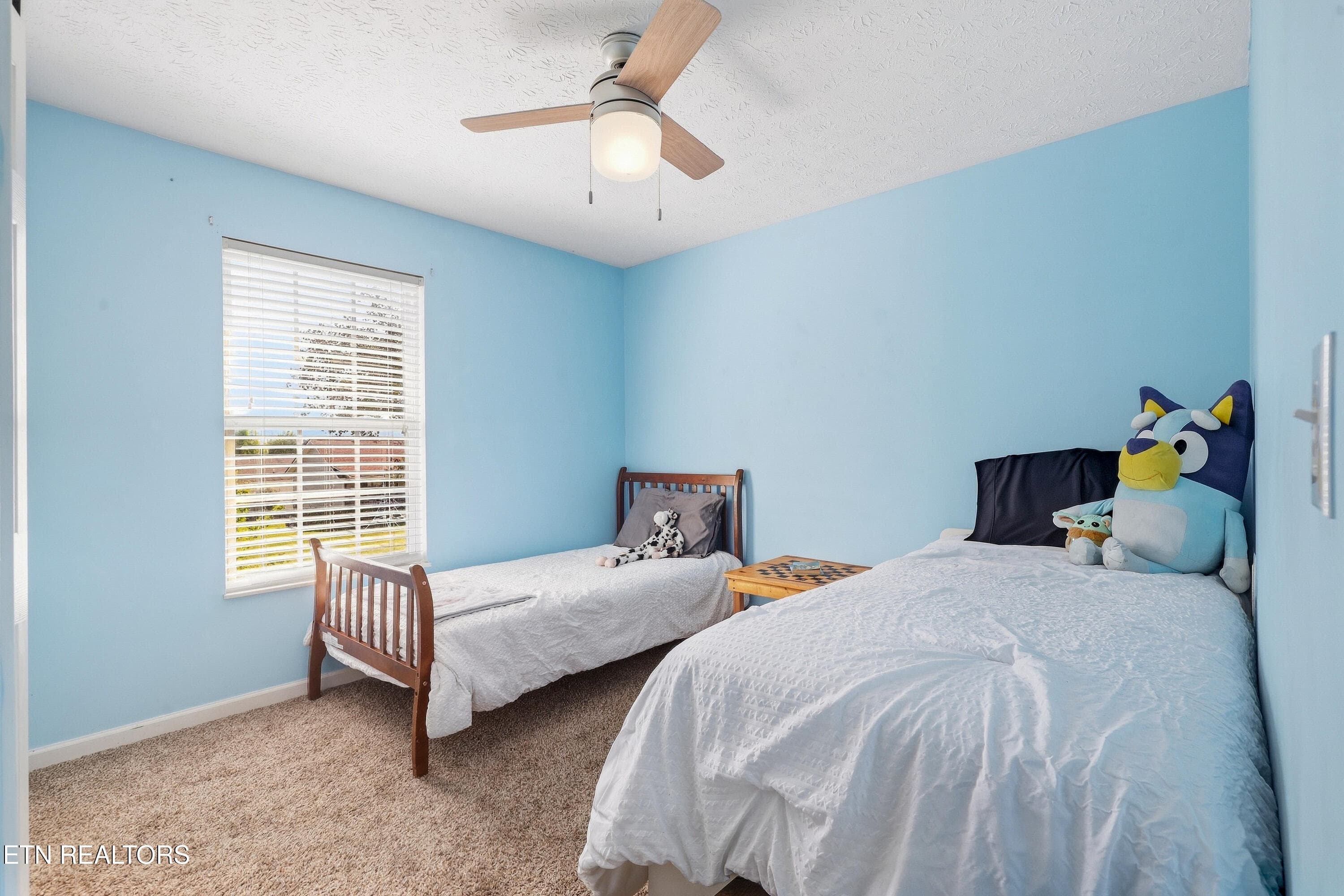 037 - 509 Delores Drive, Dandridge, TN 37725, Dandridge