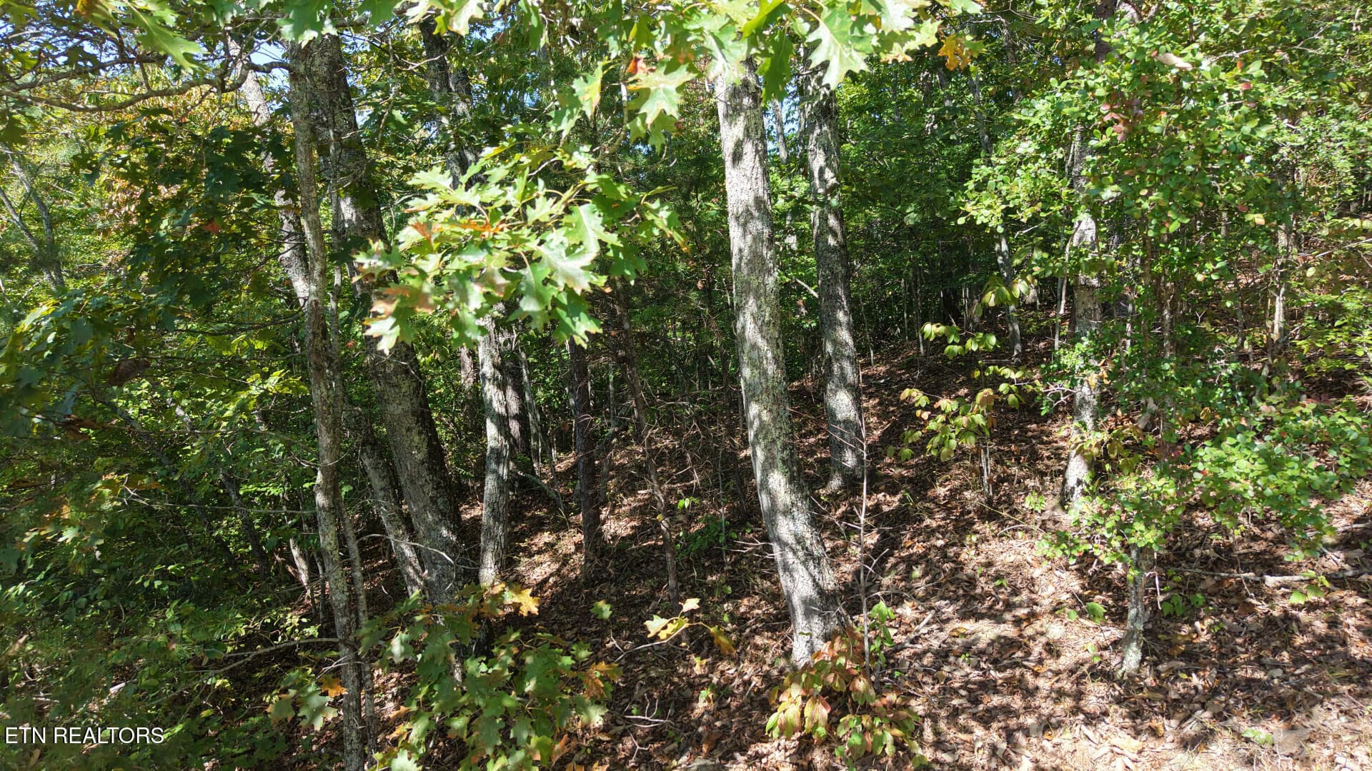 315EnclaveWay_73352_5 - 315 Enclave Way, Kingston, TN 37763, Kingston