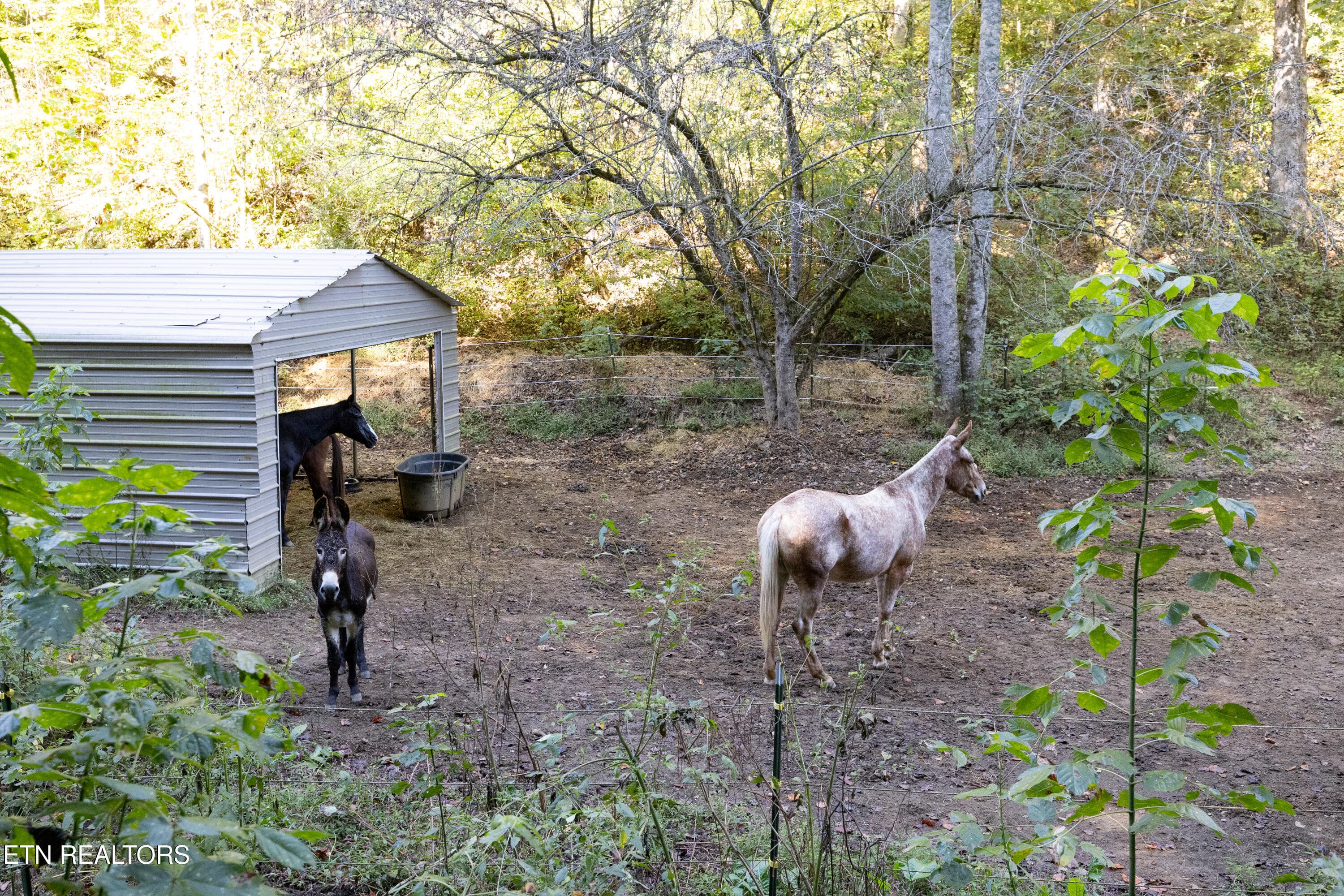Positive Perceptions-24 - 163 Ridge Rd, Sharps Chapel, TN 37866, Sharps Chapel