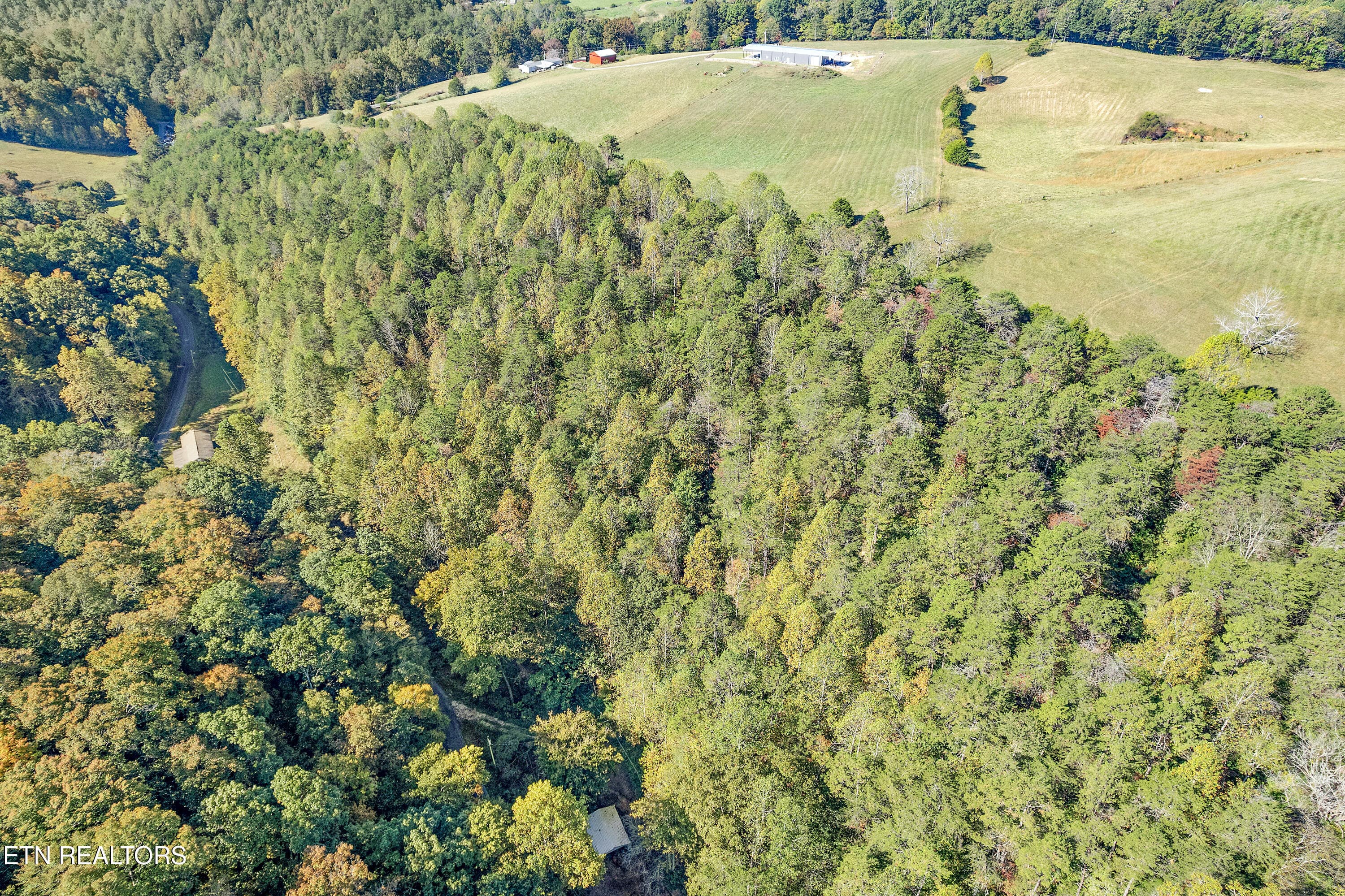 Positive Perceptions-29 - 163 Ridge Rd, Sharps Chapel, TN 37866, Sharps Chapel
