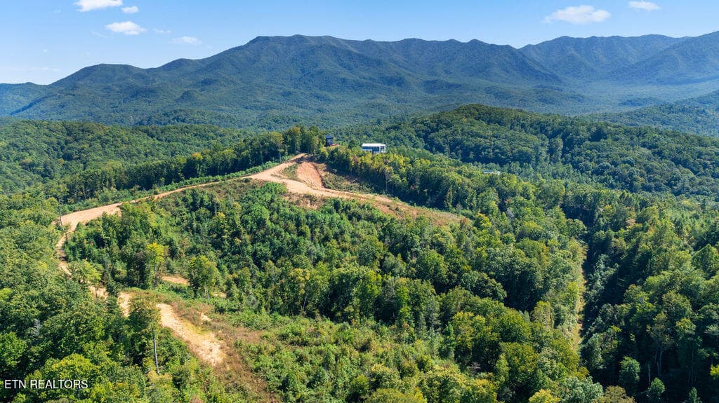 DJI_0663 - 433 Rdg Crk Way, Cosby, TN 37722, Cosby
