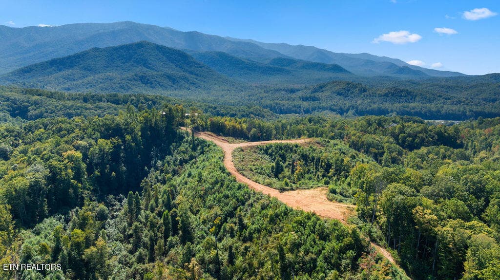 DJI_0674 - 433 Rdg Crk Way, Cosby, TN 37722, Cosby