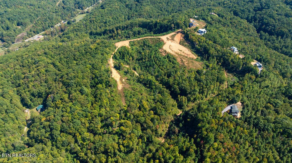 DJI_0635 - 433 Rdg Crk Way, Cosby, TN 37722, Cosby
