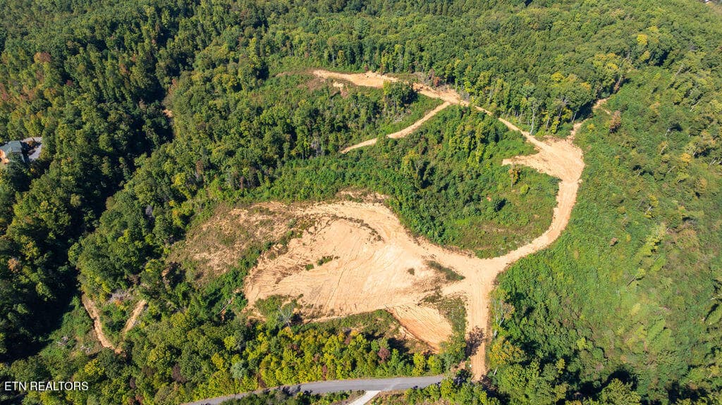 DJI_0647 - 433 Rdg Crk Way, Cosby, TN 37722, Cosby