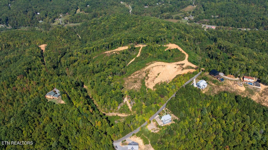 DJI_0629 - 433 Rdg Crk Way, Cosby, TN 37722, Cosby
