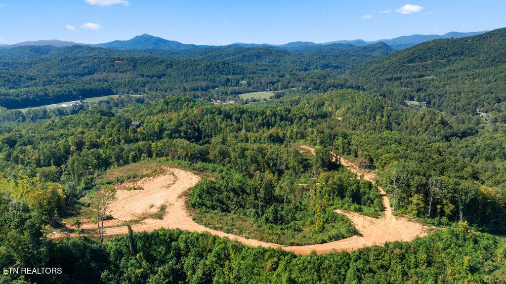 DJI_0652 - 433 Rdg Crk Way, Cosby, TN 37722, Cosby