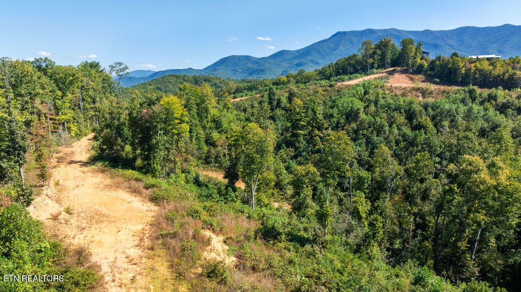 DJI_0705 - 433 Rdg Crk Way, Cosby, TN 37722, Cosby