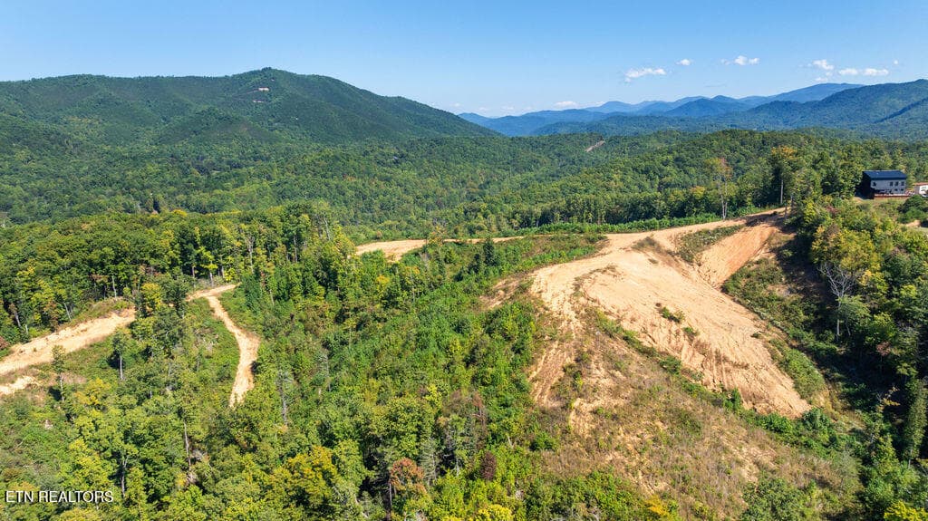 DJI_0698 - 433 Rdg Crk Way, Cosby, TN 37722, Cosby