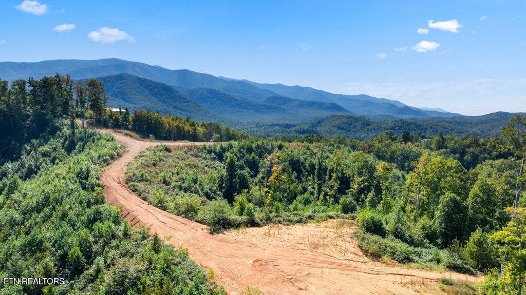 DJI_0679 - 433 Rdg Crk Way, Cosby, TN 37722, Cosby
