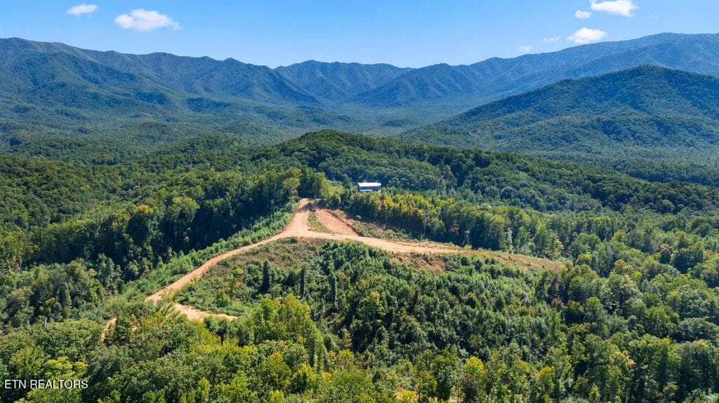 DJI_0669 (6) - 433 Rdg Crk Way, Cosby, TN 37722, Cosby