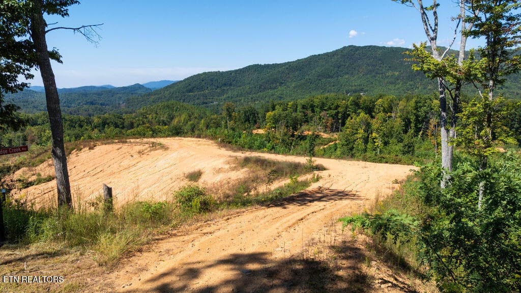 DJI_0593 - 433 Rdg Crk Way, Cosby, TN 37722, Cosby