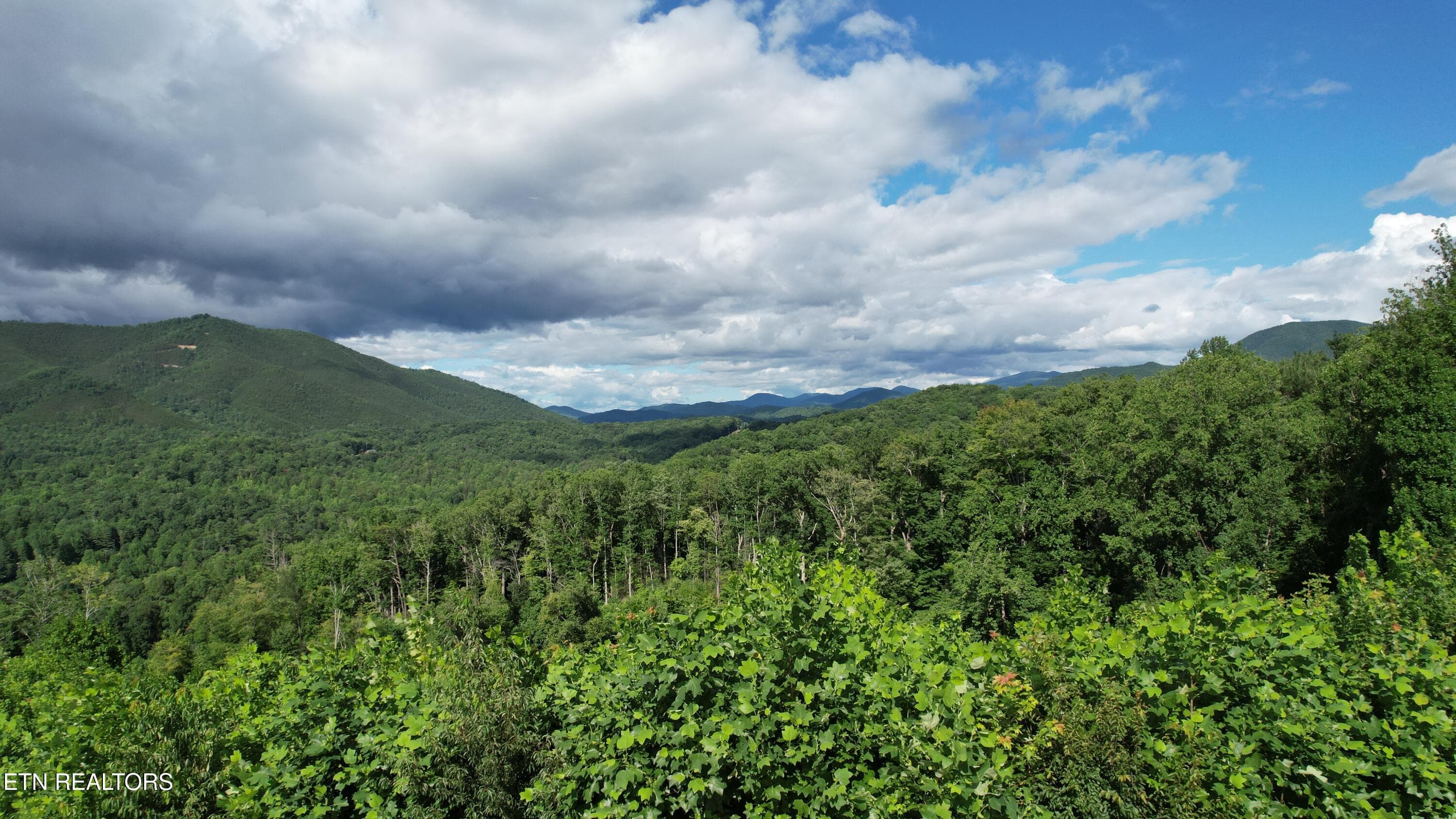 7-DJI_0028 - 433 Rdg Crk Way, Cosby, TN 37722, Cosby