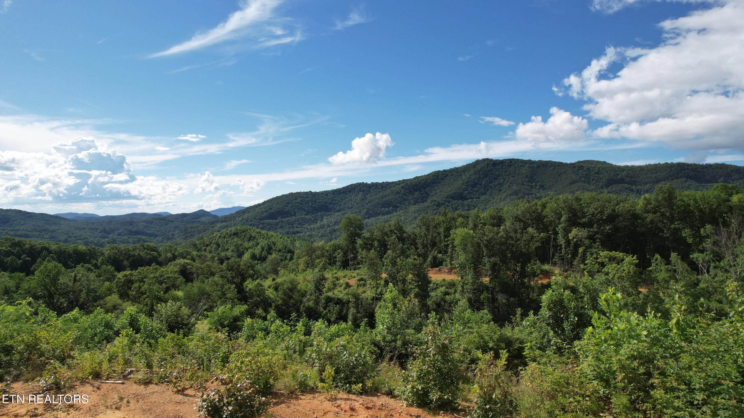 10-DJI_0025 - 433 Rdg Crk Way, Cosby, TN 37722, Cosby