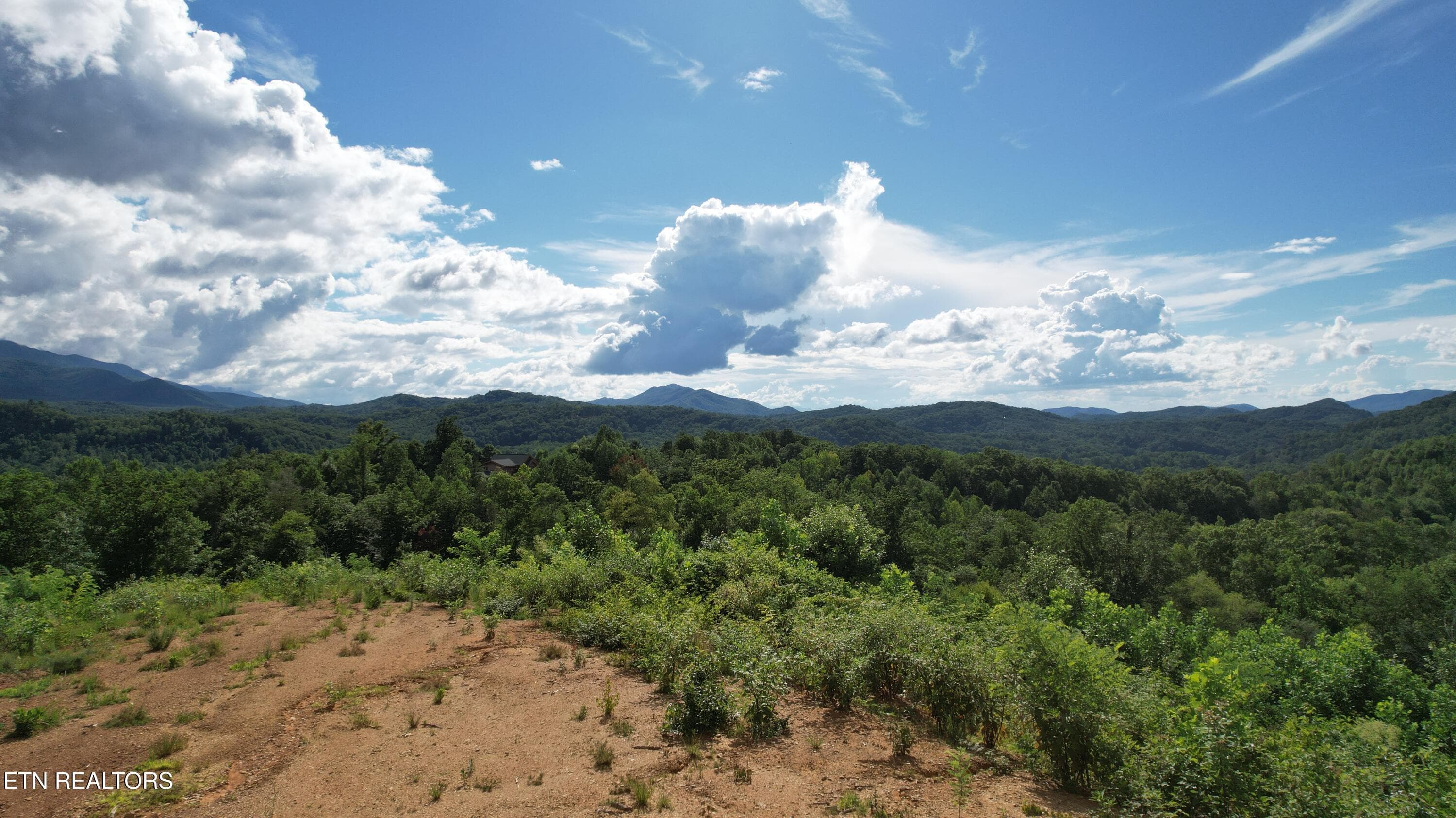 9-DJI_0026 - 433 Rdg Crk Way, Cosby, TN 37722, Cosby