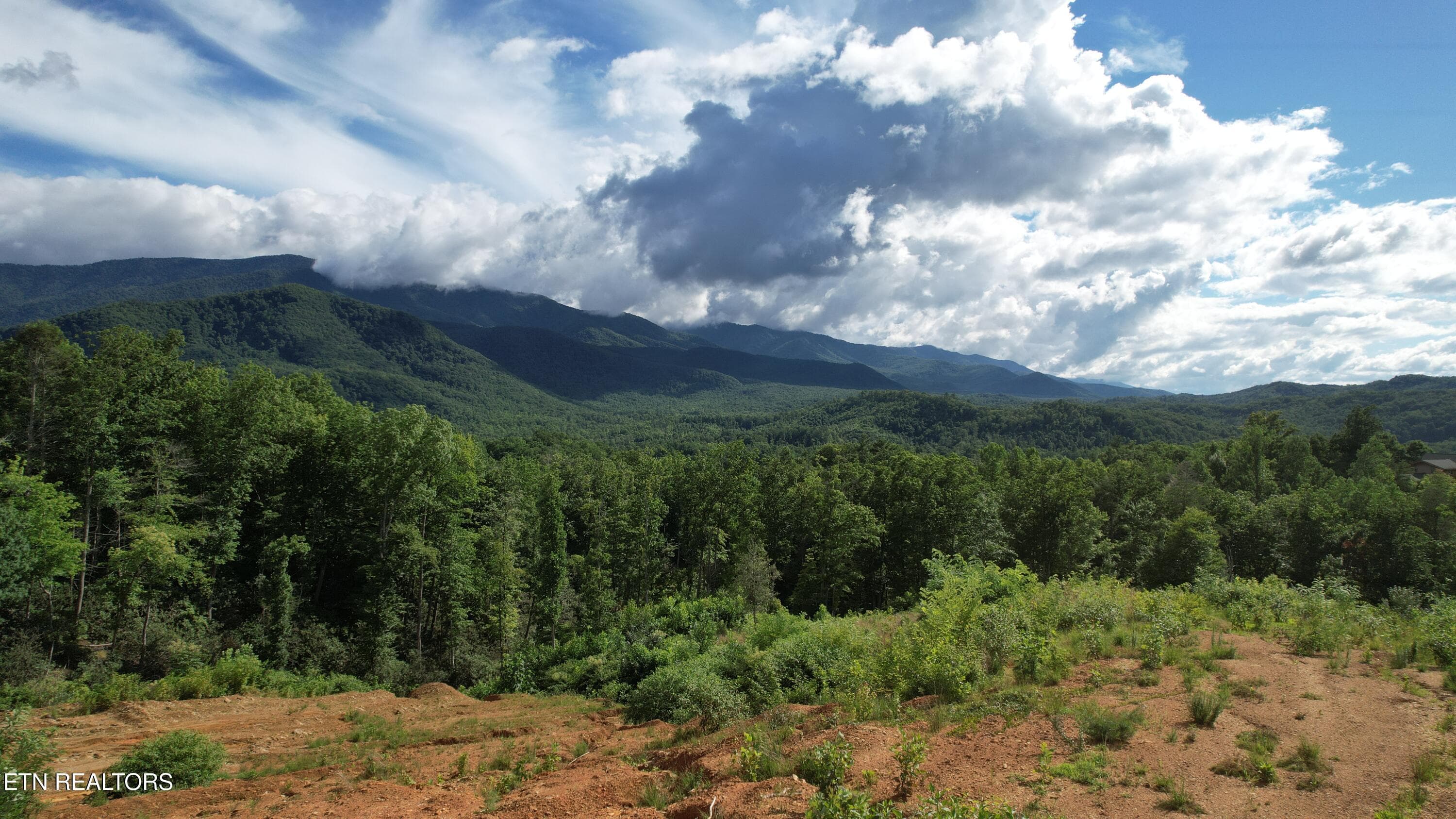 8-DJI_0027 - 433 Rdg Crk Way, Cosby, TN 37722, Cosby