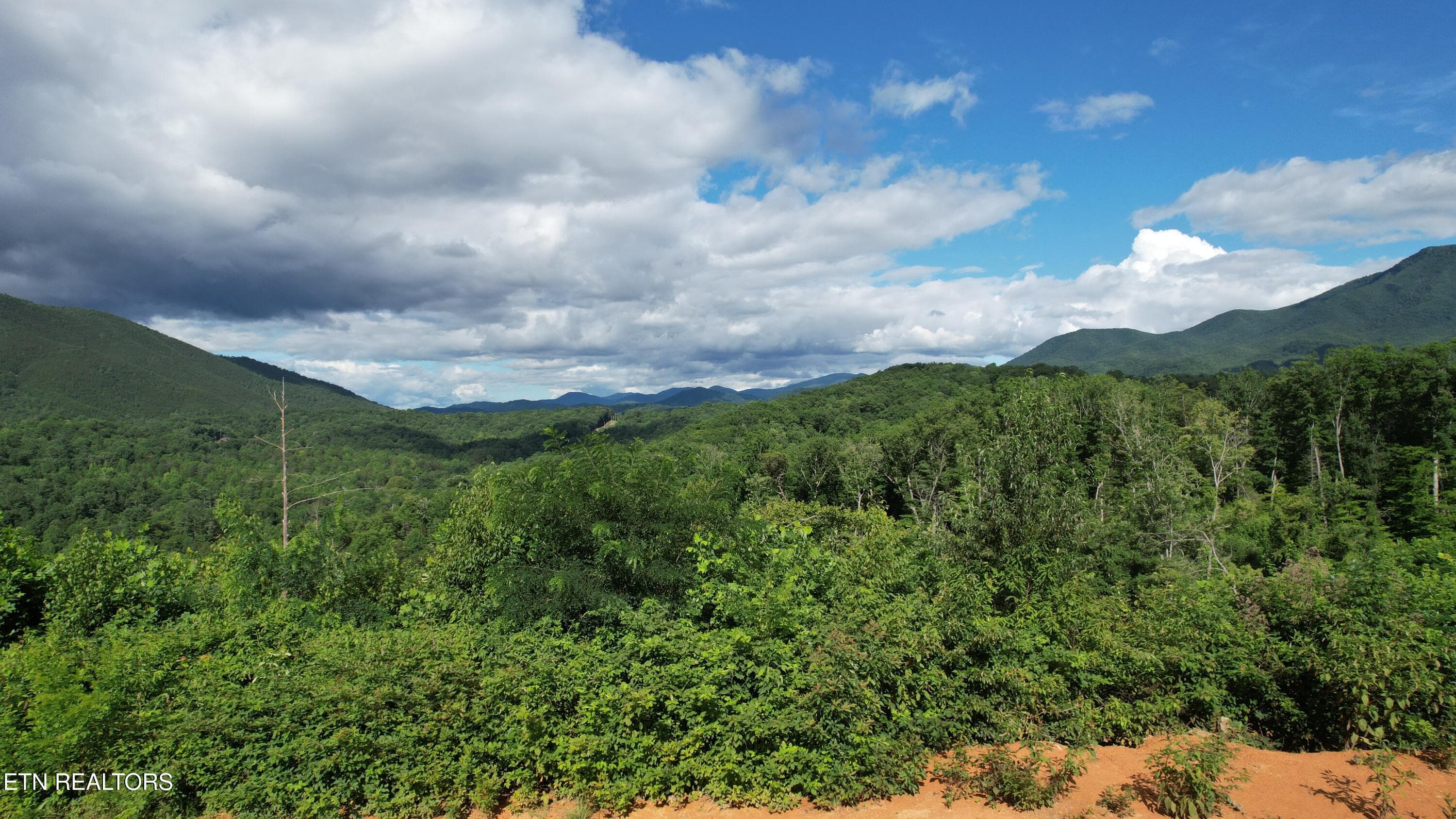4-DJI_0031 - 433 Rdg Crk Way, Cosby, TN 37722, Cosby