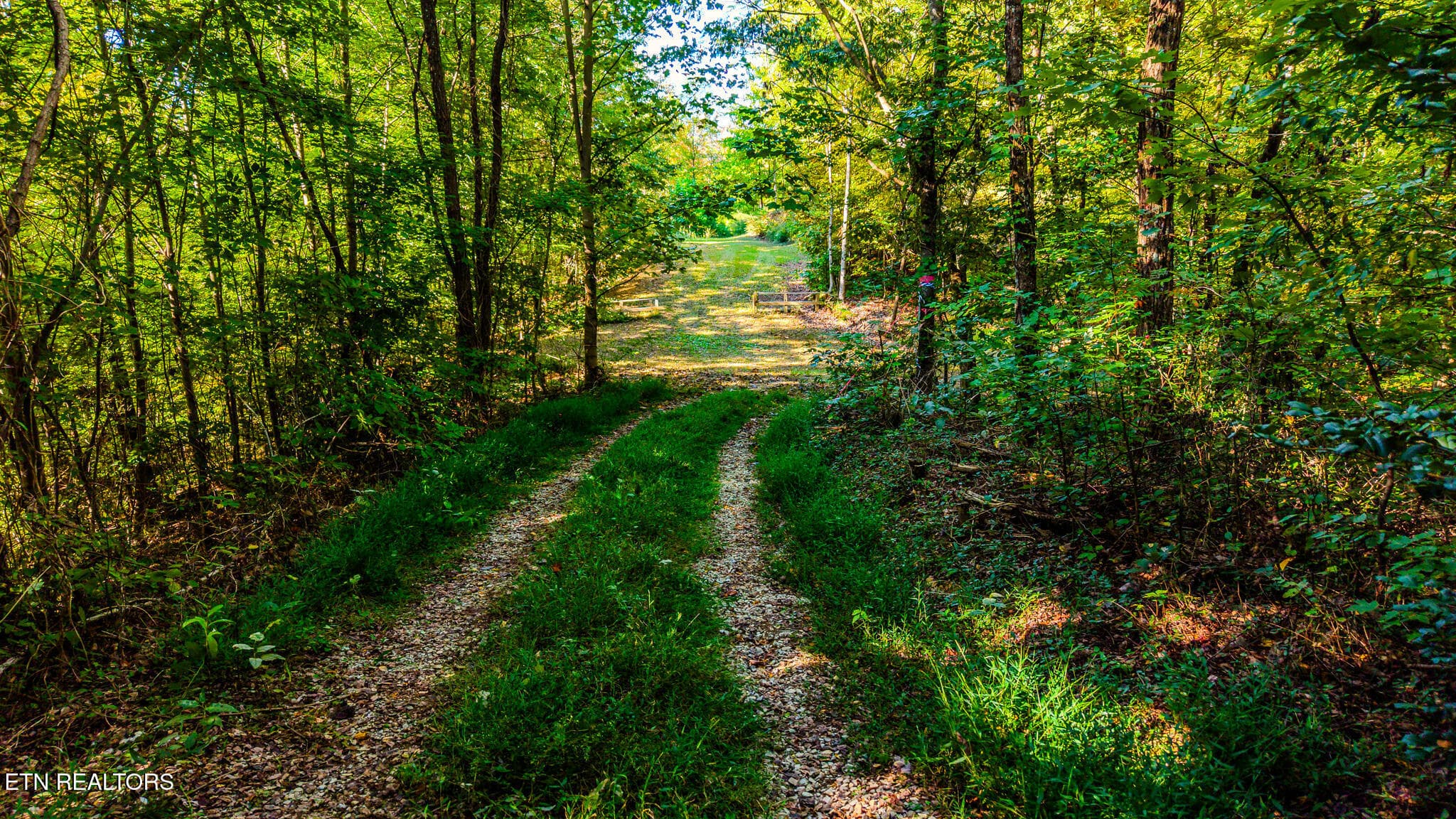11-print-429-king-branch-rd - 429 King Branch Rd, Sevierville, TN 37876, Sevierville